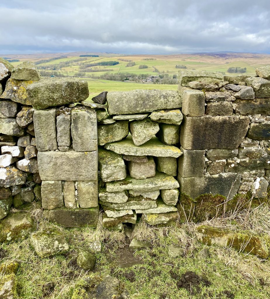 A gap in the dry stone wall on Fell Side Laithe is neatly closed up with rocks.