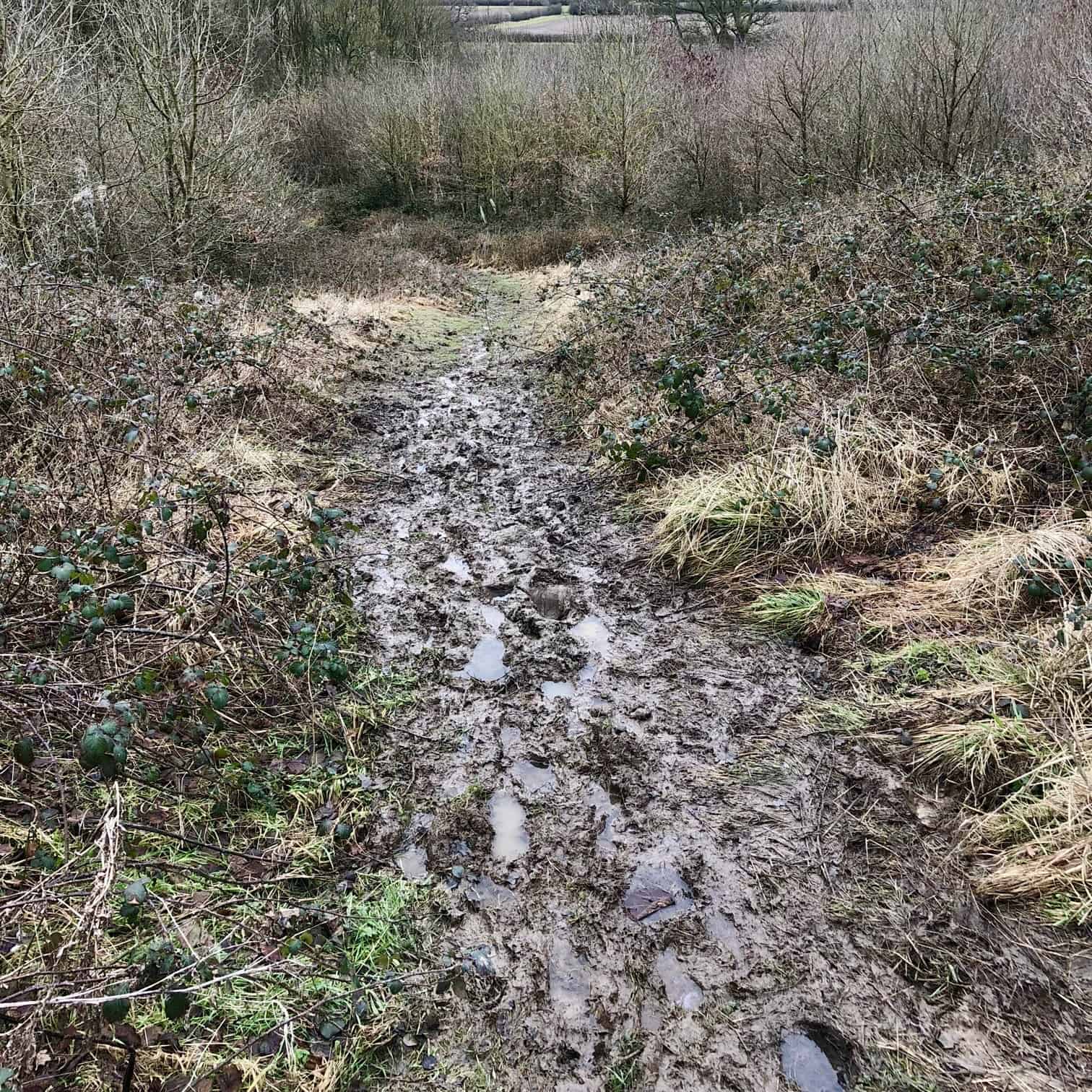 Extremely muddy footpaths near High Gaterley.