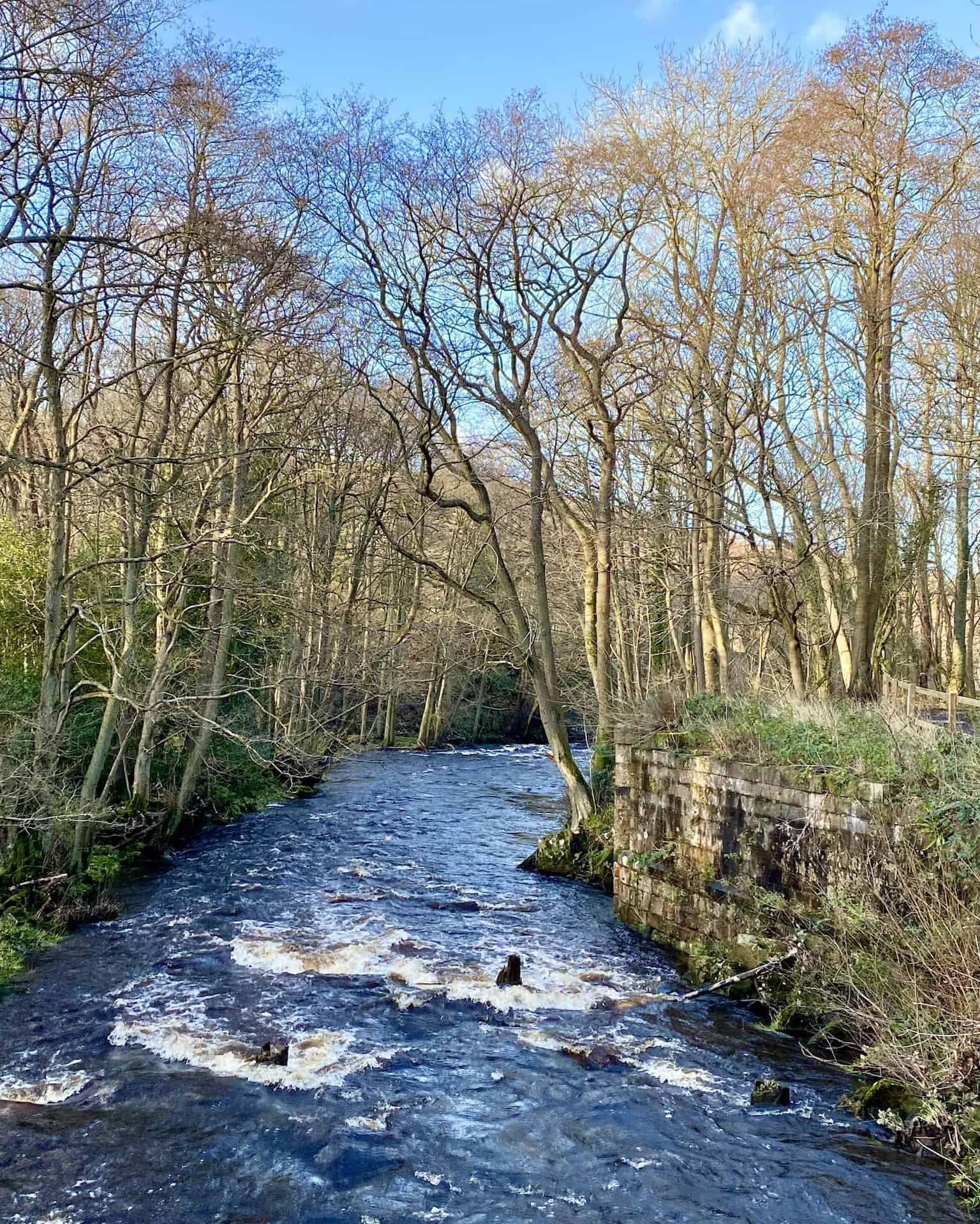 Don't judge a river by its colour! Like most watercourses in the area, the Murk Esk catches water from large areas of moorland, resulting in its brown, peaty colour. Despite this, the water quality is generally very high, which makes it a significant habitat for wildlife.