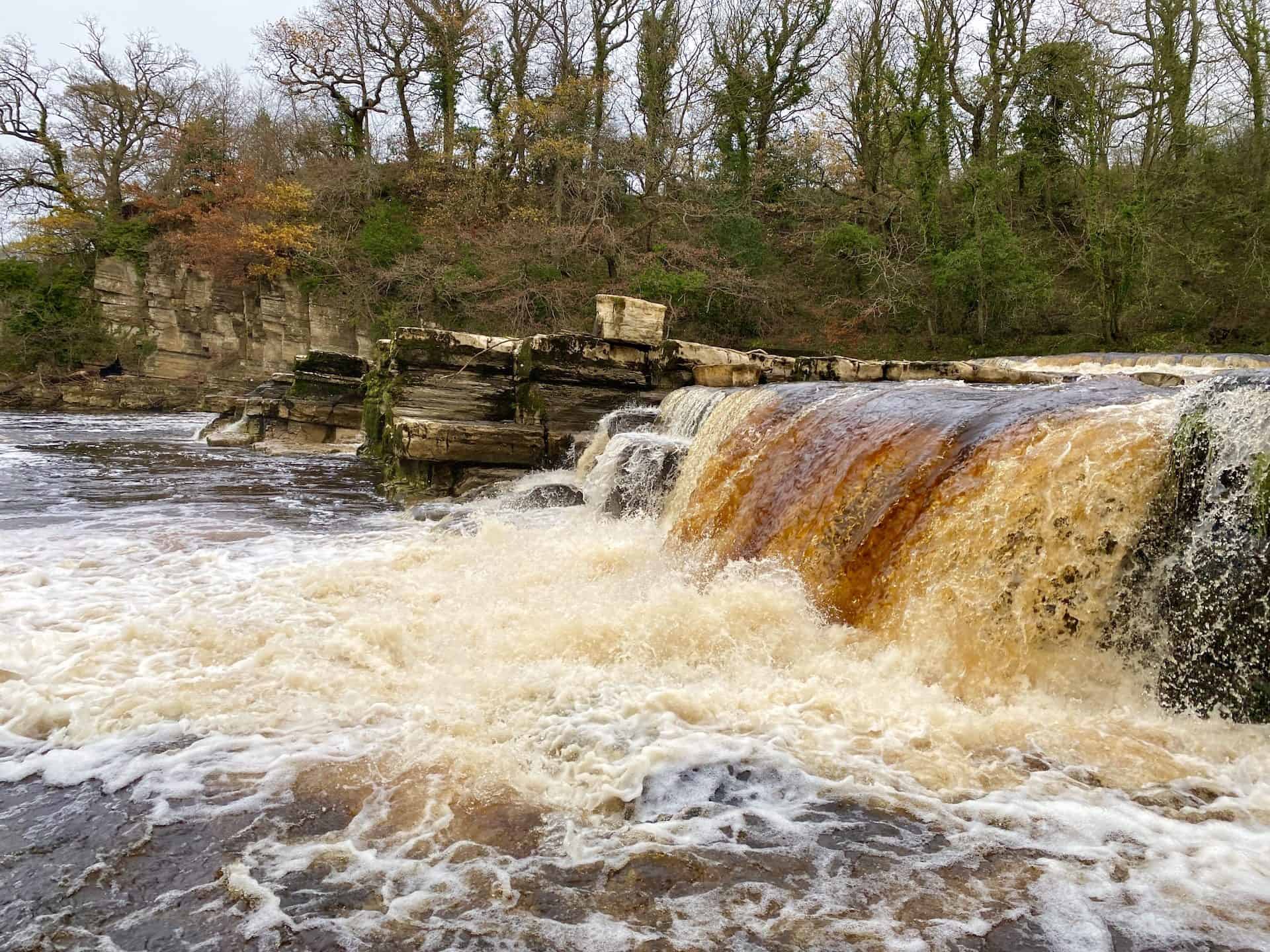The River Swale is said to be England's fastest-flowing river. Sometimes golden brown in colour, particularly after heavy rainfall, because its waters have absorbed peat high up on the moorlands of the Yorkshire Dales.