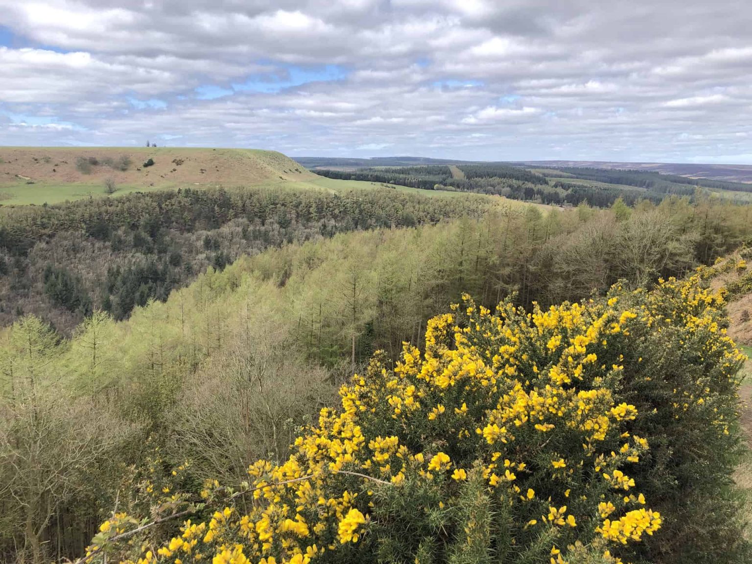 Best Walks in the North York Moors 17 Scenic Routes to Explore