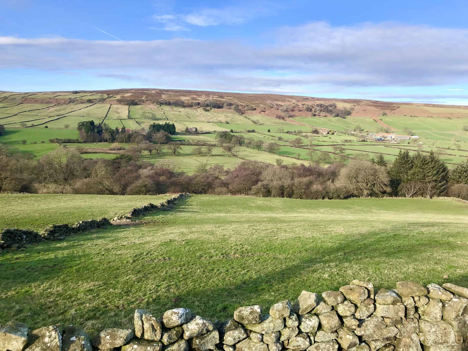 The Glaisdale valley as seen from Mountain Ash Farm.
