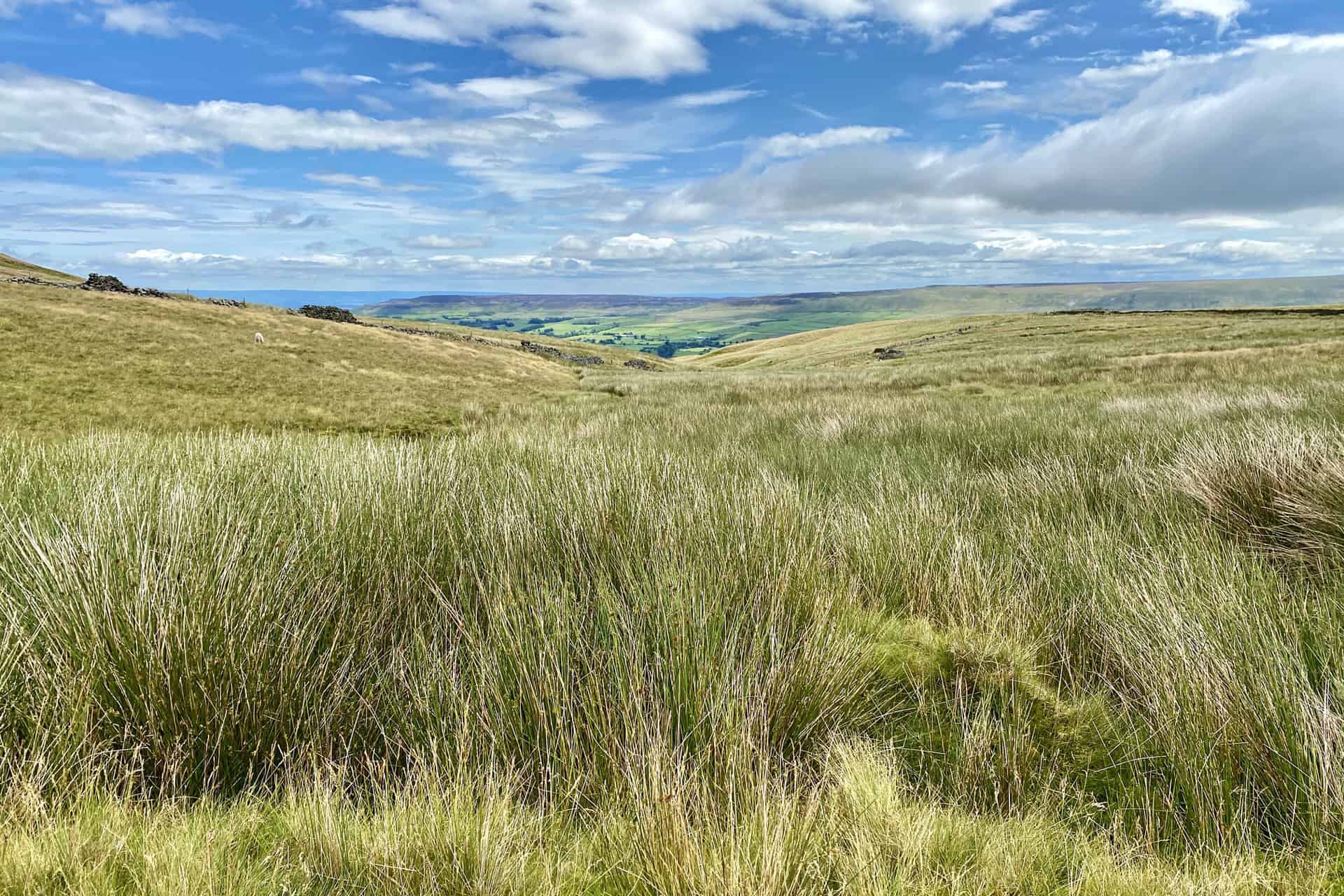 The view south-east towards Coverdale from the bridleway between Harland Hill and the Height of Hazely. From number 18 in my list of the best walks in the Yorkshire Dales.