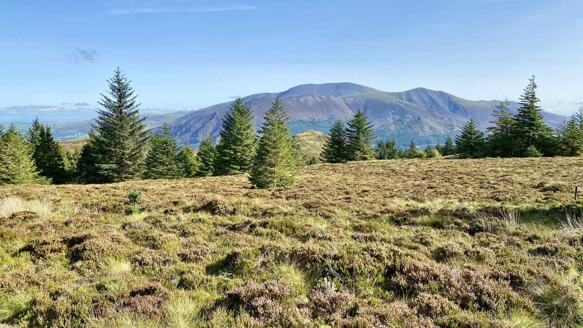 The view north-east from Ullister Hill towards the Skiddaw range of mountains.