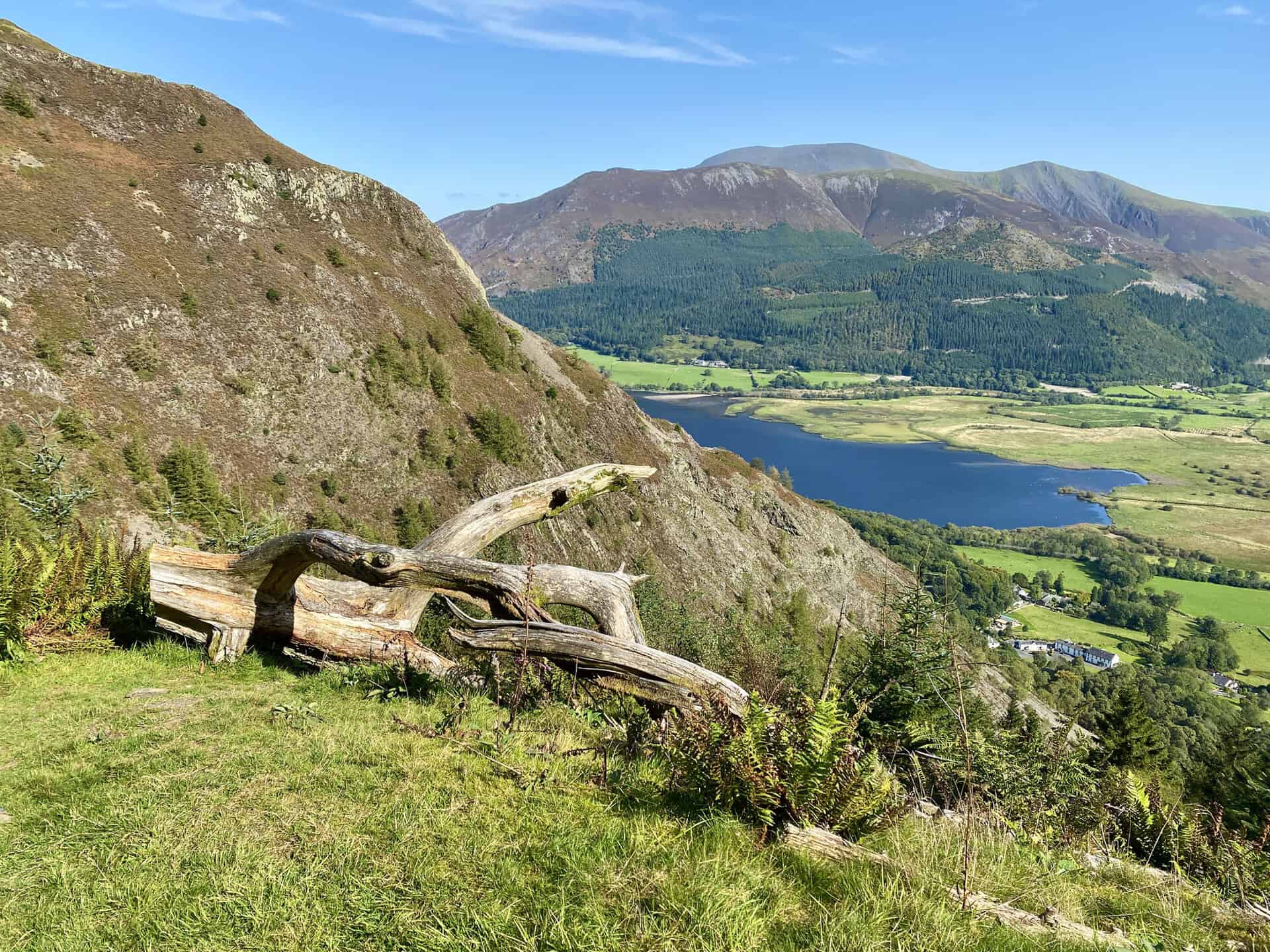The southern tip of Bassenthwaite Lake viewed from Birch Crag, just south of Barf.
