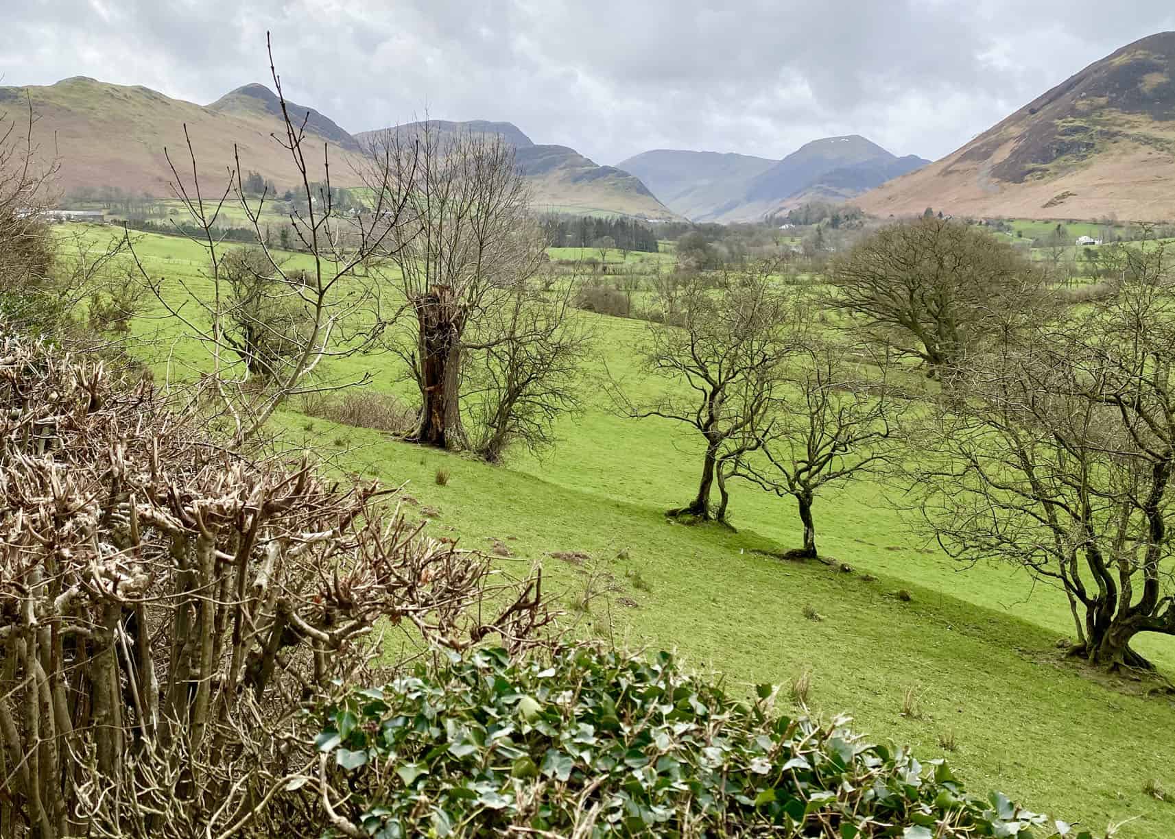 The view south from Swinside across the Newlands valley, soon after the start of the Causey Pike walk. The four highest peaks, from left to right, are Cat Bells, Maiden Moor, Dale Head and Hindscarth.