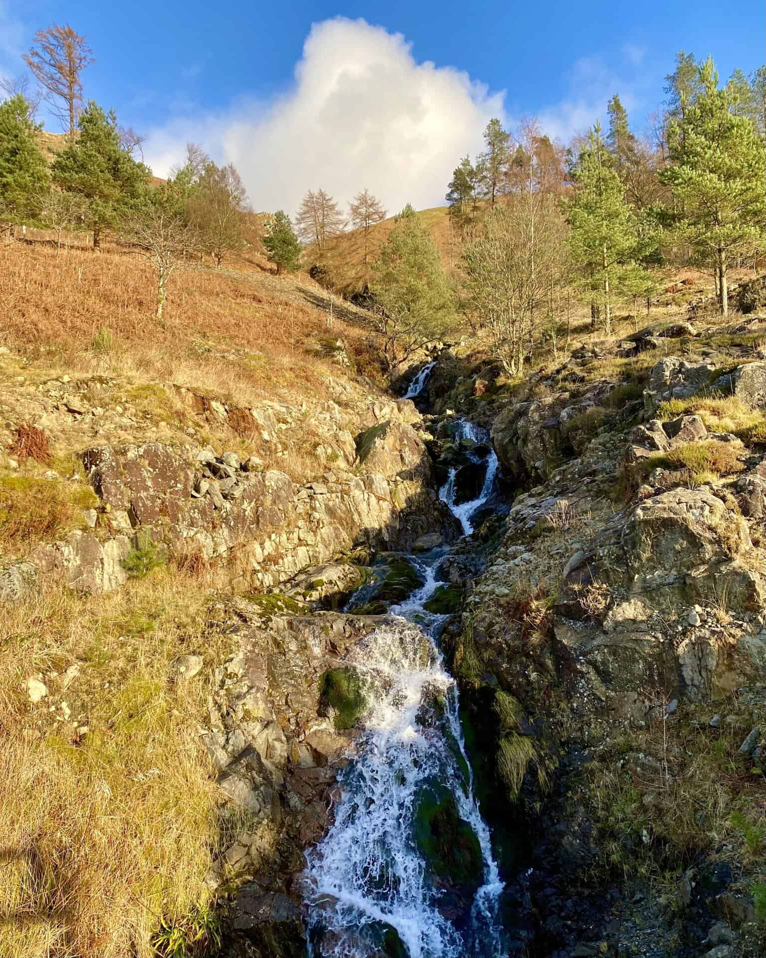 Another waterfall seen from the forestry track. This stream originates from Brownrigg Well about 80 metres below the Helvellyn summit. It cuts a channel between Helvellyn Screes and Whelp Side and empties into Thirlmere.