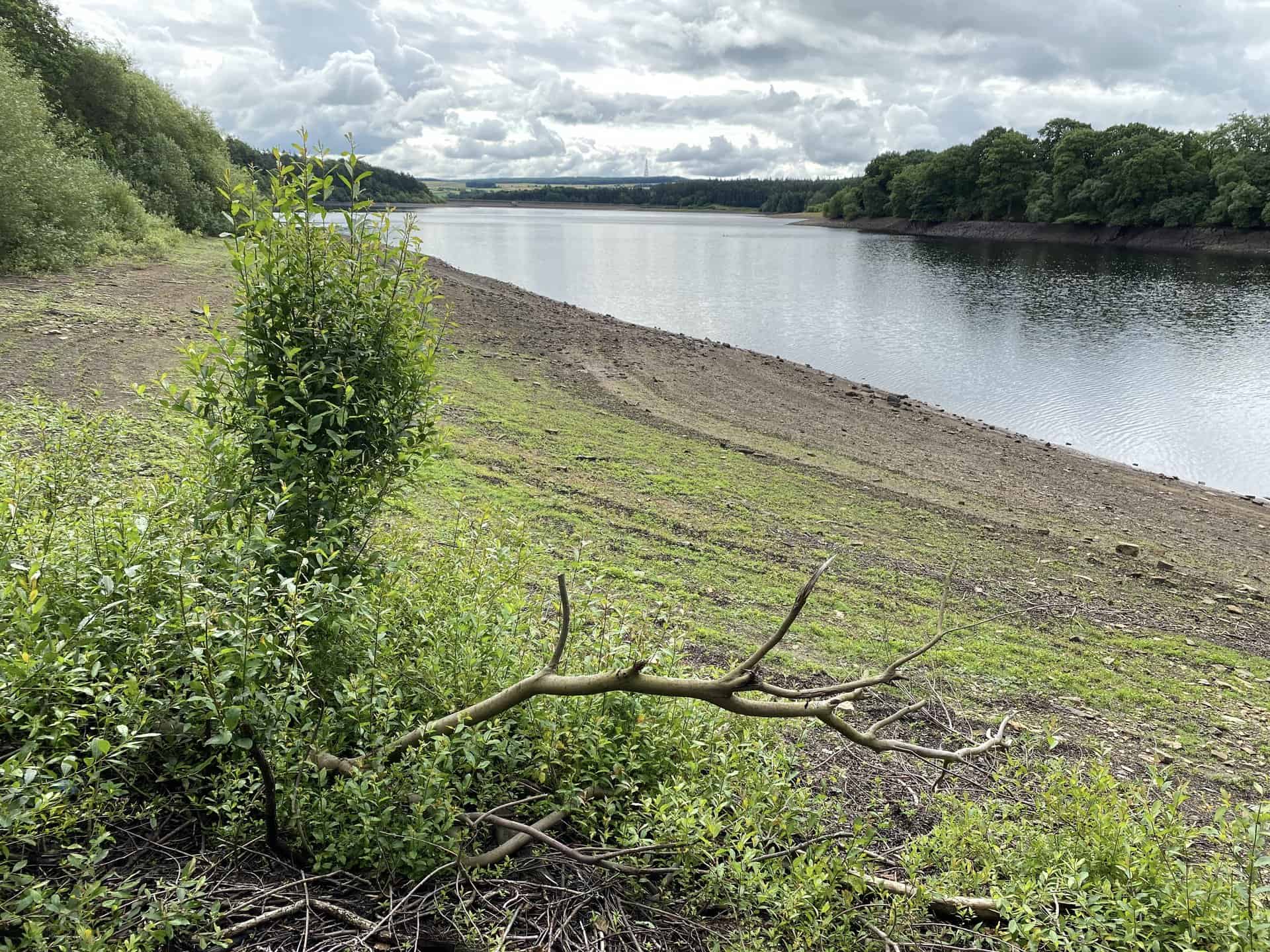 The south-eastward view from Fewston Reservoir's northern boundary towards Fewston Embankment.