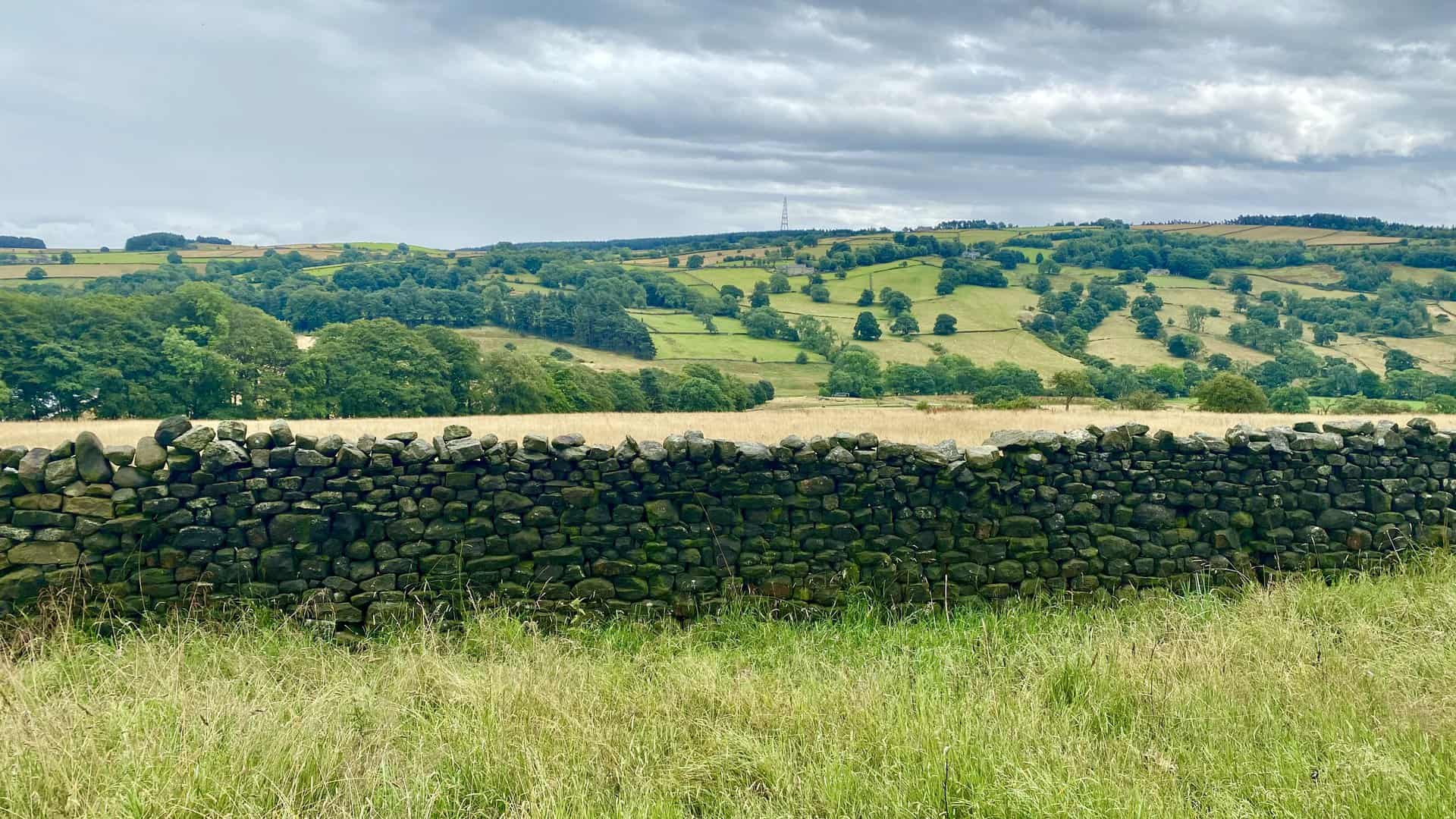 The eastward panorama across the River Washburn valley from High Lane.