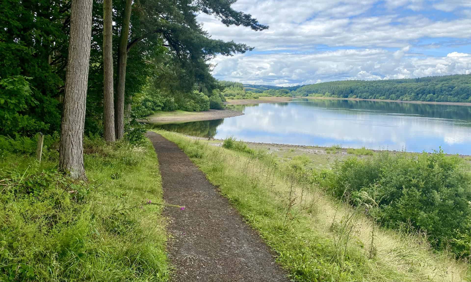 The leisurely trail near the southern extremity of Fewston Reservoir.