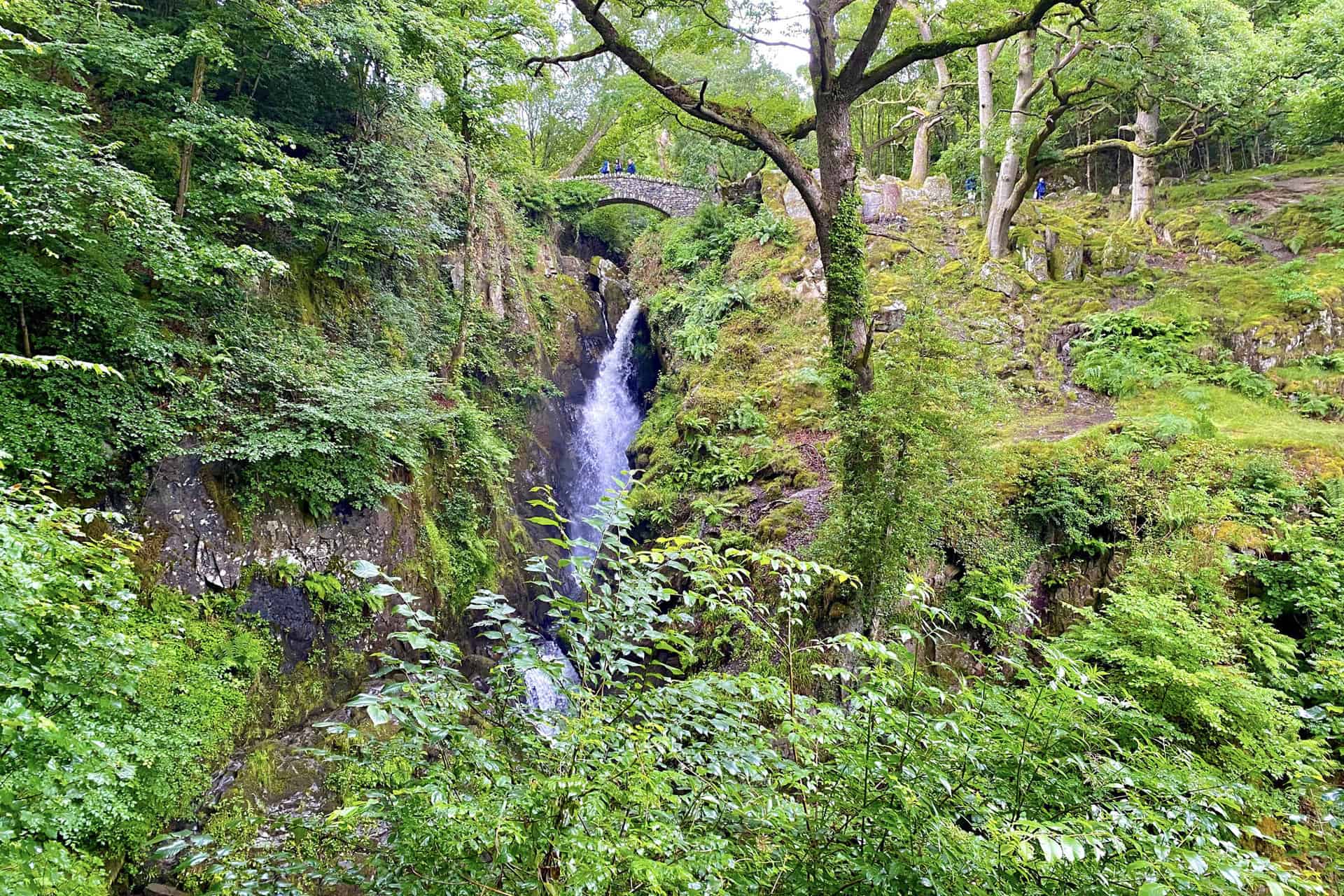 Aira Beck drops approximately 20 metres down a steep-sided ravine into a rocky plunge pool before continuing its journey to Ullswater.