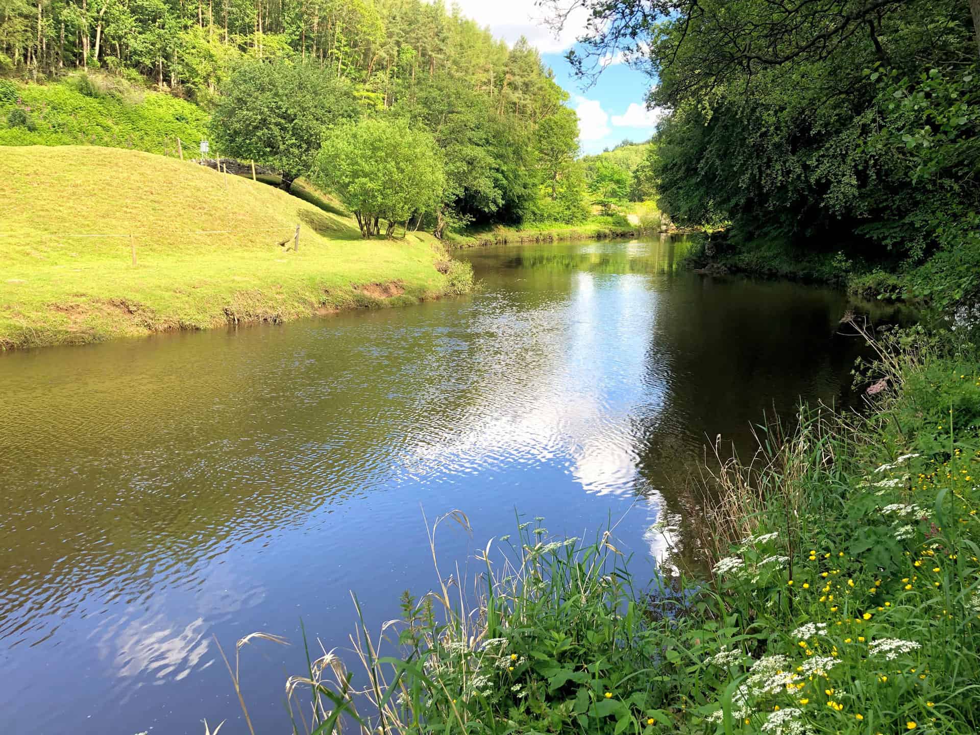 The tranquil expanse of the River Esk along the Esk Valley Walk.