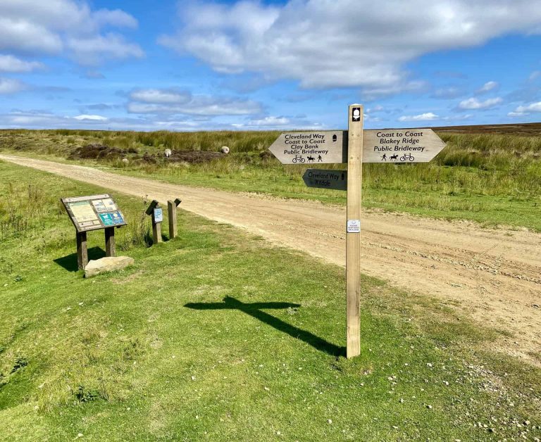 MID LENGTH WALK SHORT COAST TO COAST