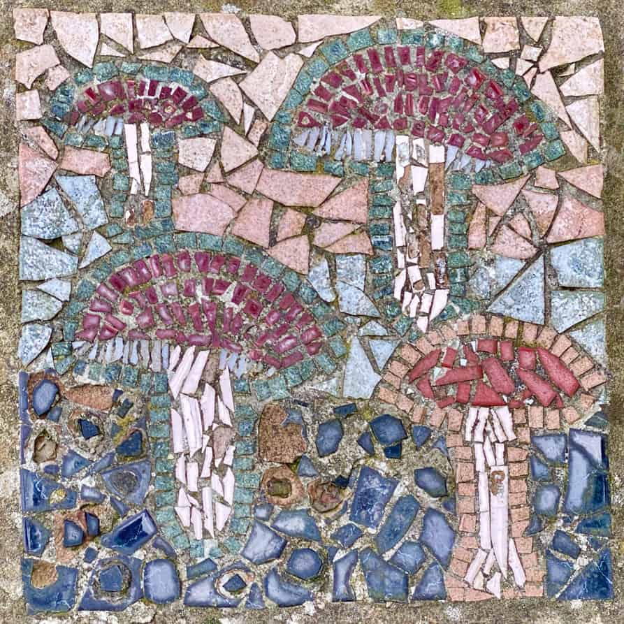 Crackpots Mosaic Trail: Fungi.