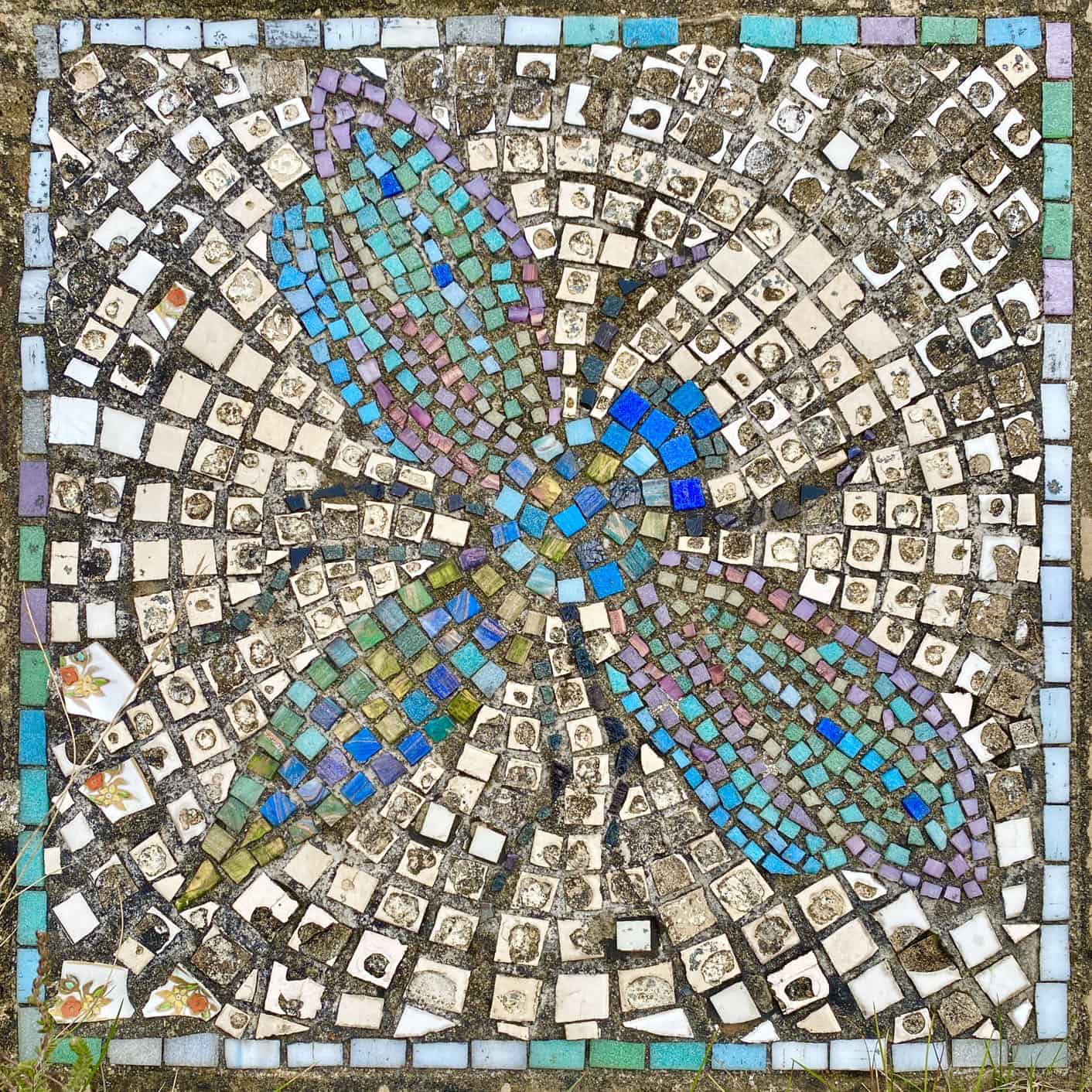 Crackpots Mosaic Trail: Dragonfly.