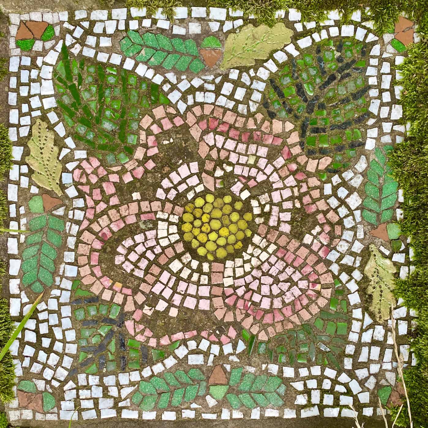 Crackpots Mosaic Trail: Wild Rose.