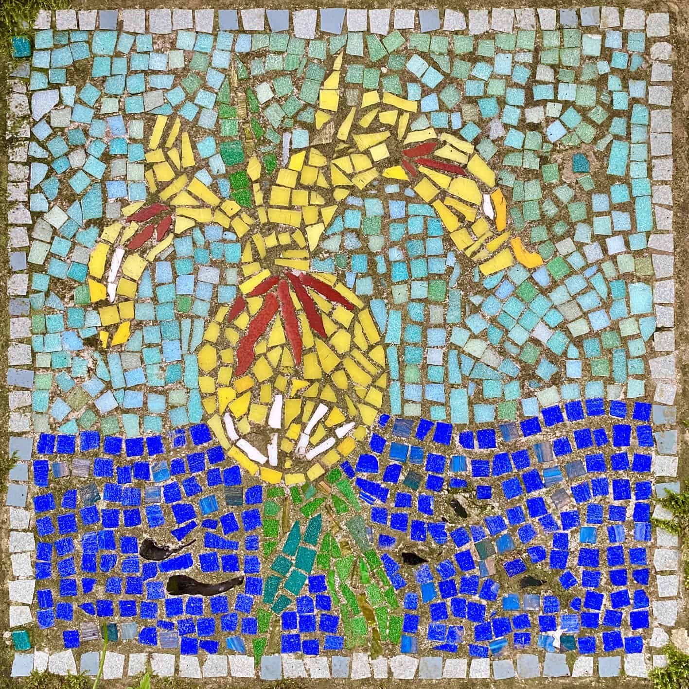 Crackpots Mosaic Trail: Flag Iris & Tadpoles.