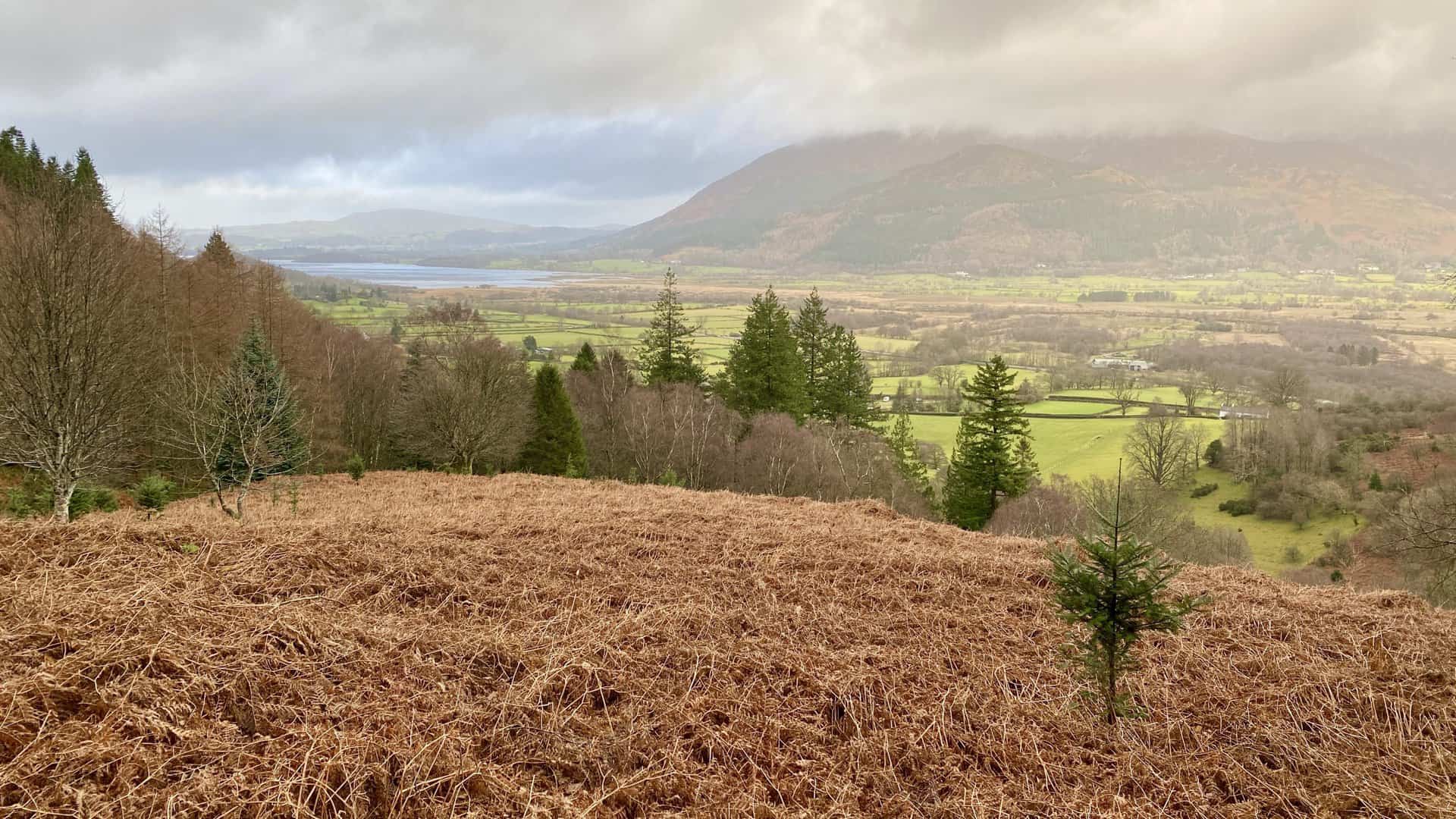 The view north towards Bassenthwaite Lake shortly after leaving the car park.