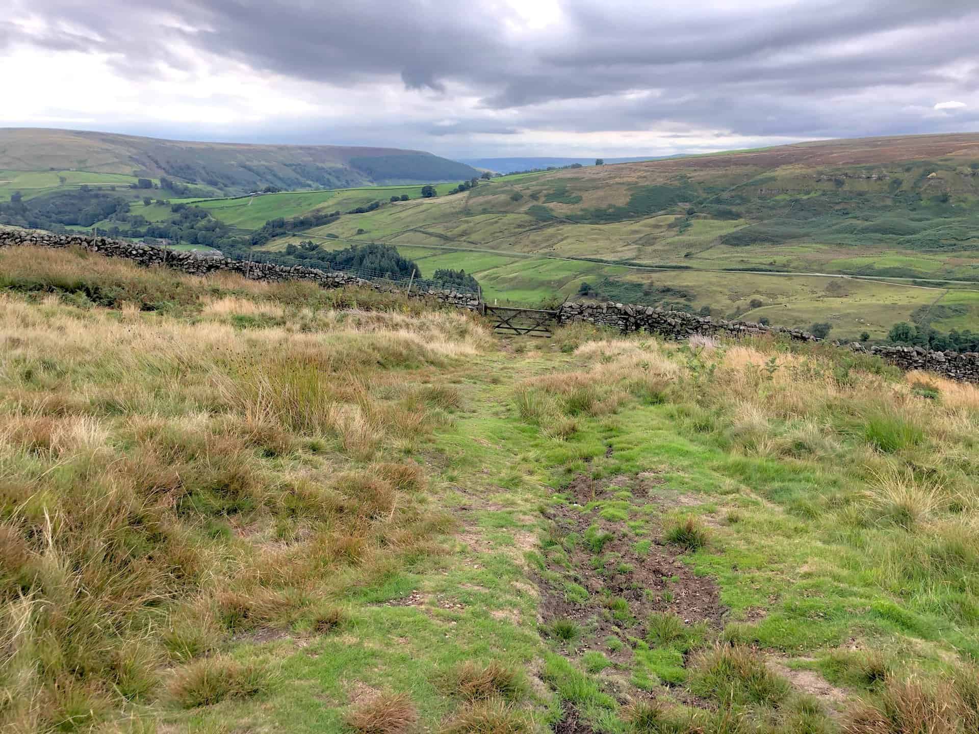 The view south-east over Nidderdale towards Lofthouse Moor (left) and In Moor (right).