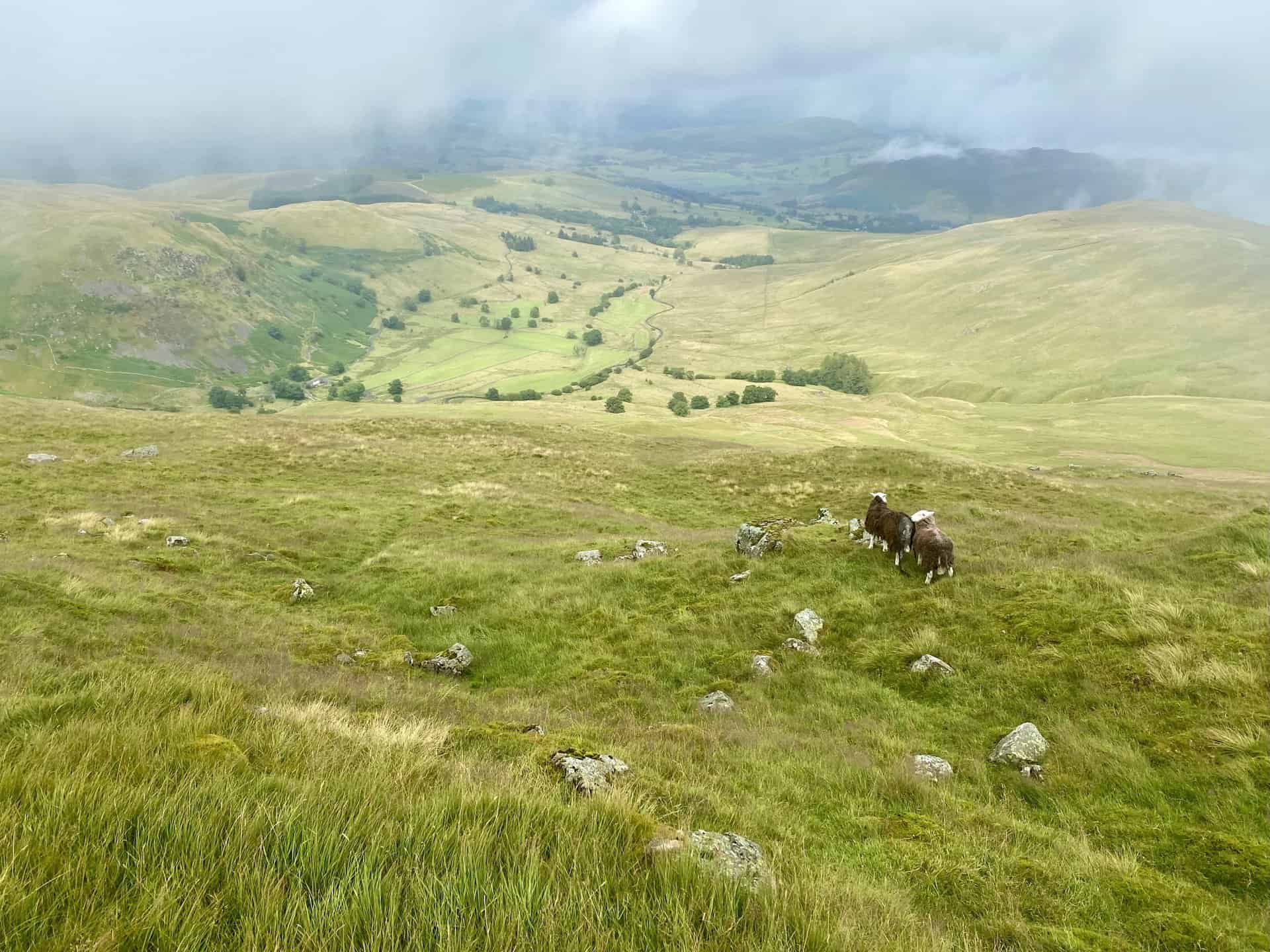 The view north-east down to the Dowthwaitehead / Aira Beck valley. About three quarters of the way round this Stybarrow Dodd walk.