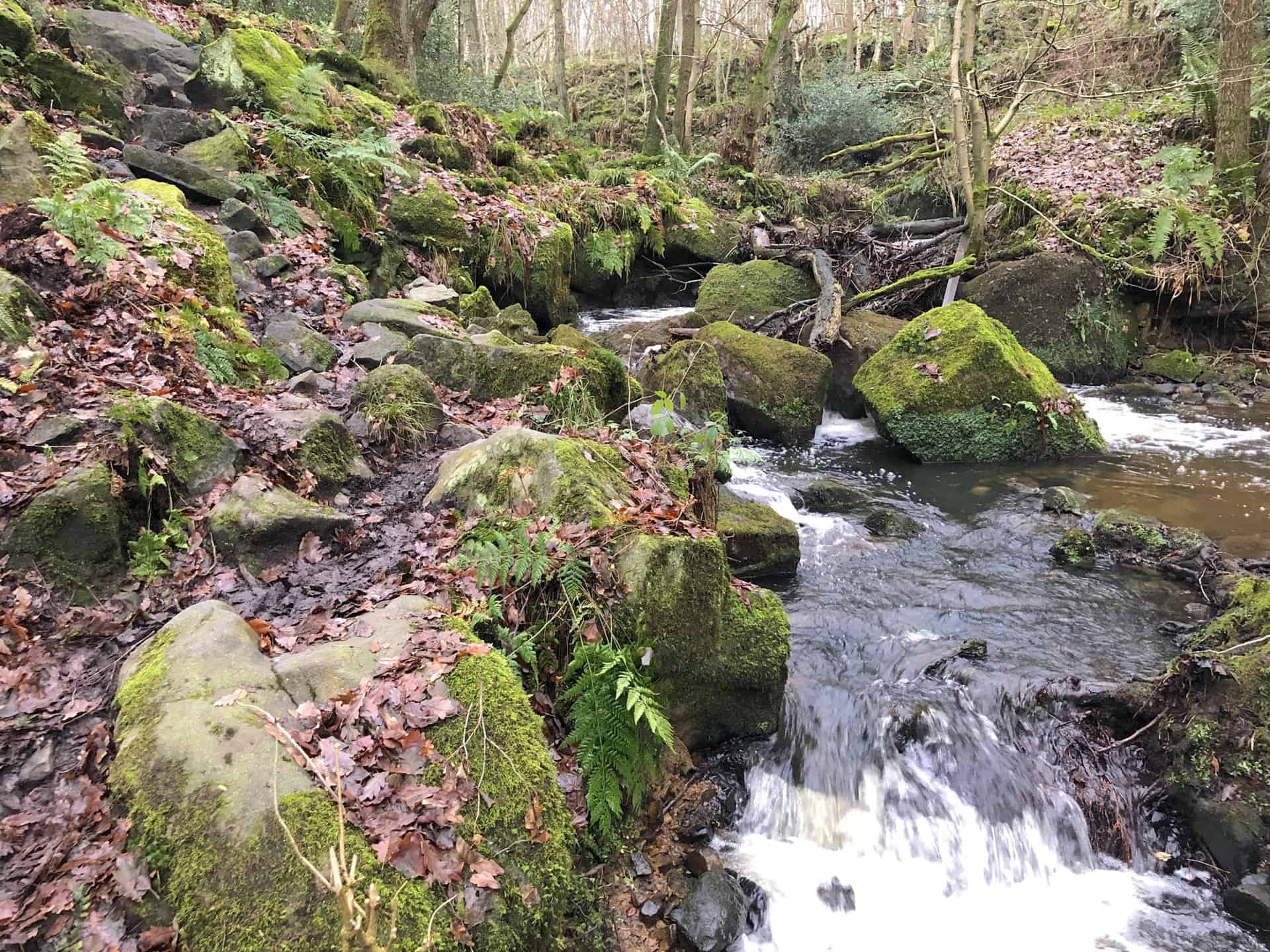 Fell Beck flowing through woodland north of Smelthouses.