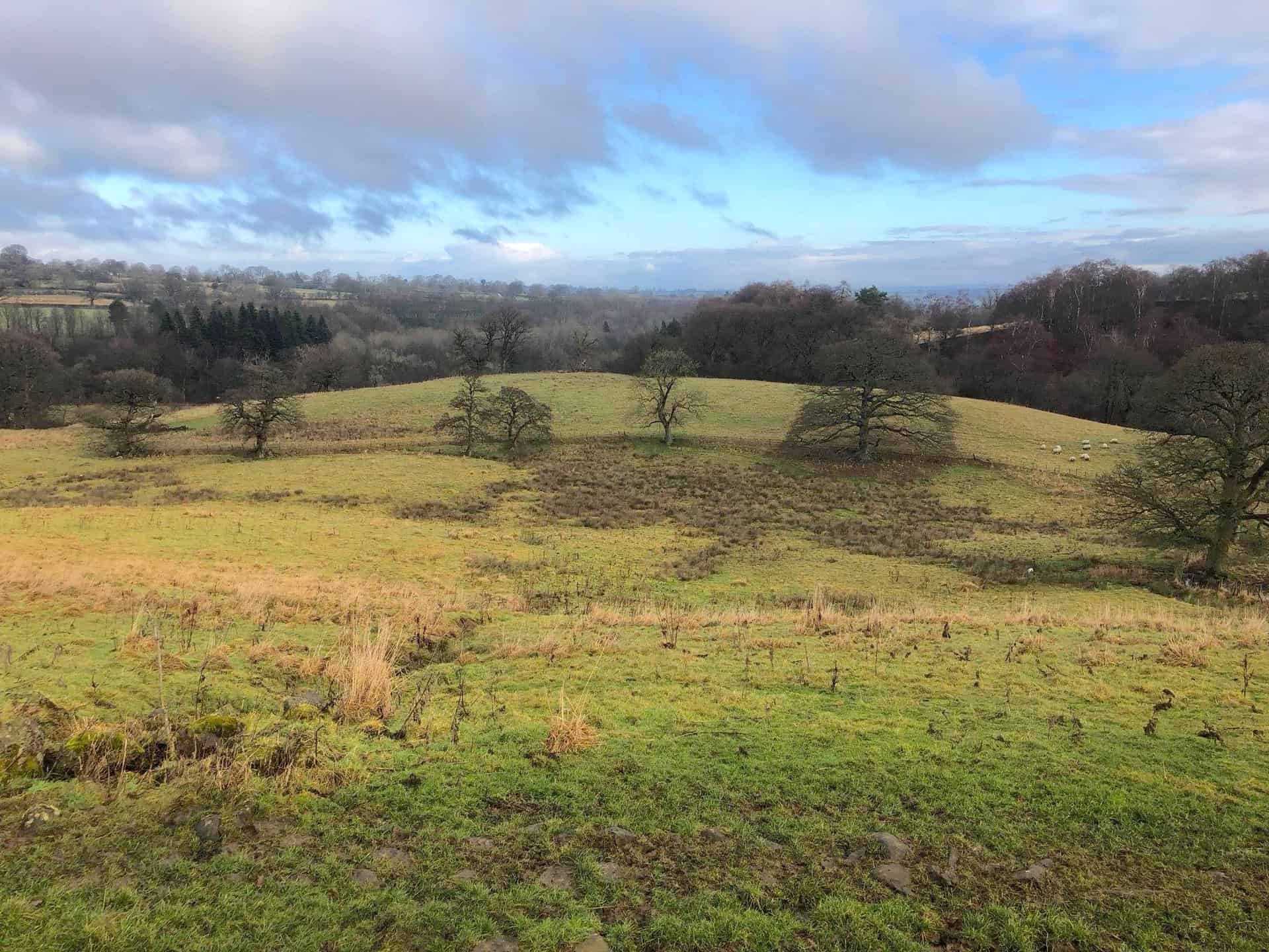 Countryside near Ilton, south-west of Masham.