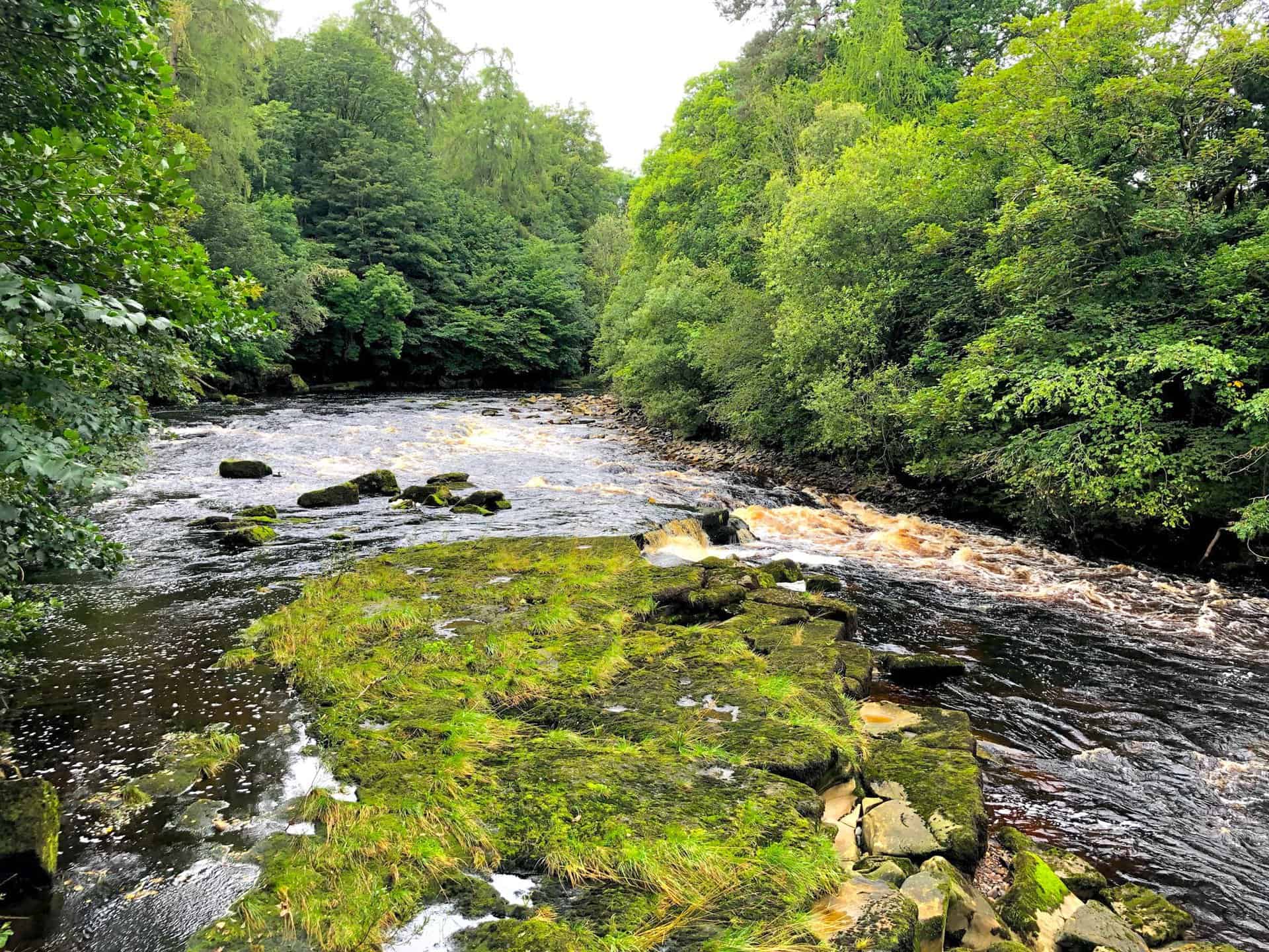 The tranquil stretch of the River Tees between Cotherstone and Romaldkirk, ideal for a leisurely stroll.