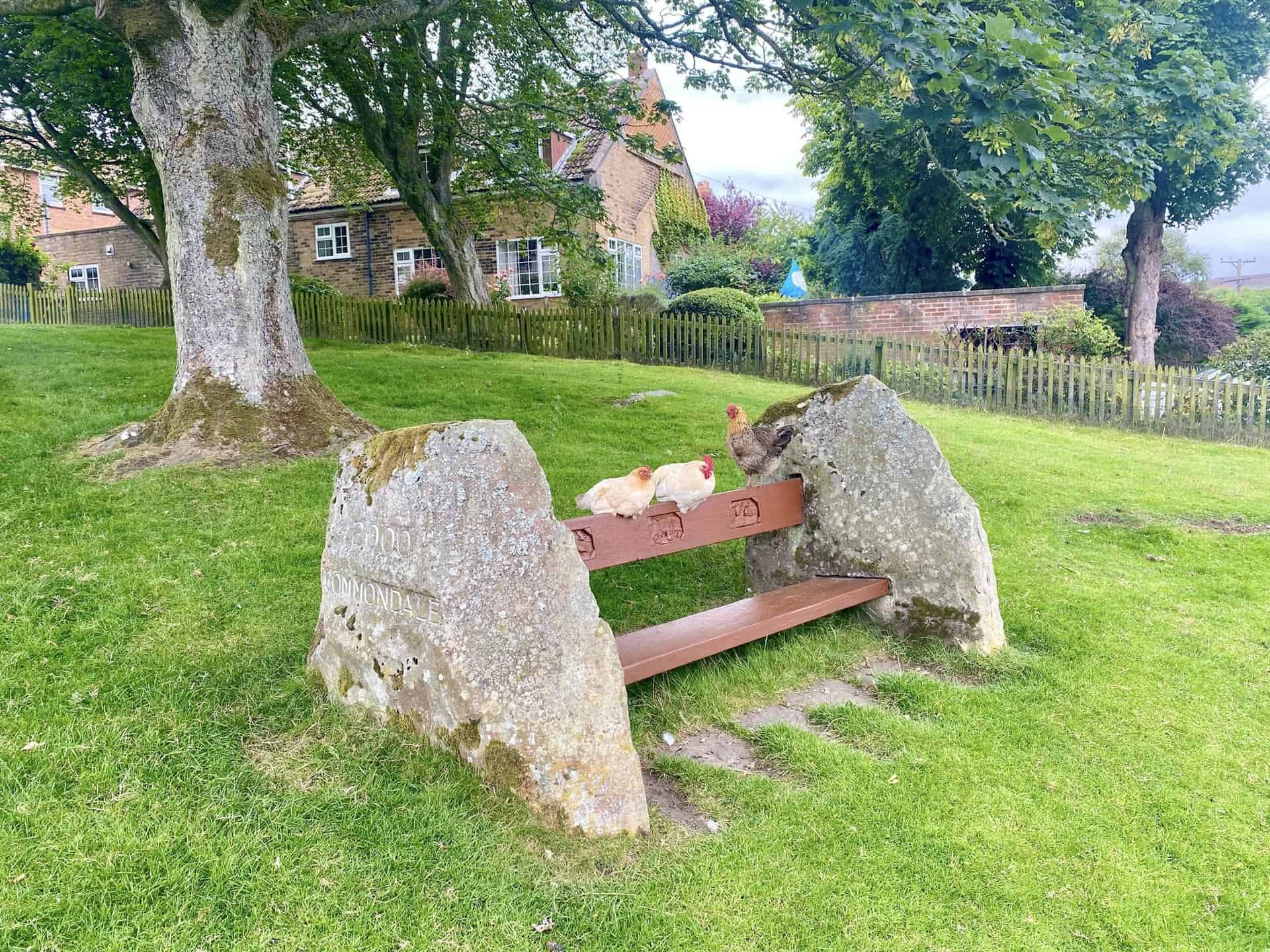 Millennium bench on Commondale village green.