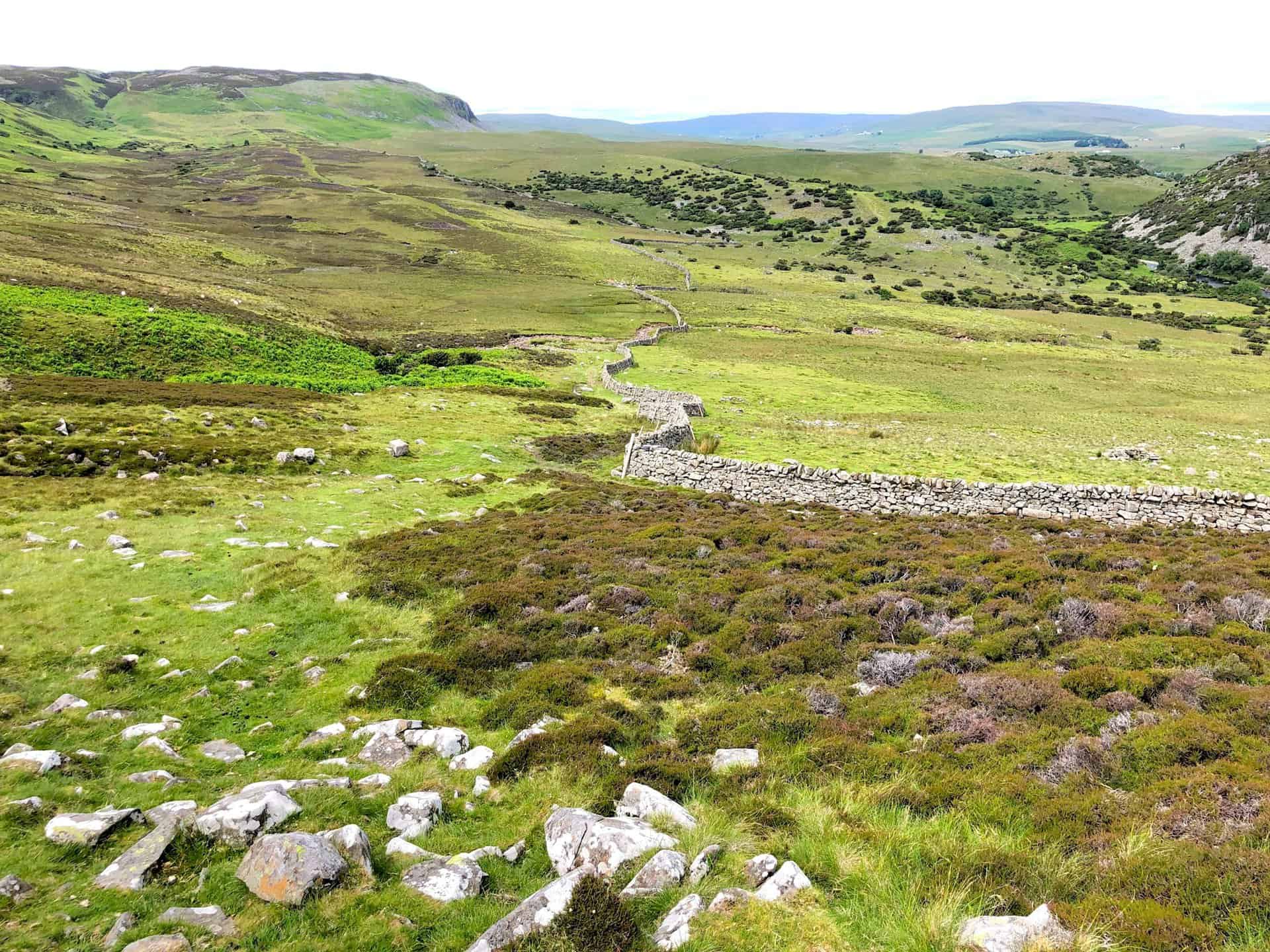 The expansive view north-west over Upper Teesdale reveals a landscape rich in natural beauty and diverse habitats.