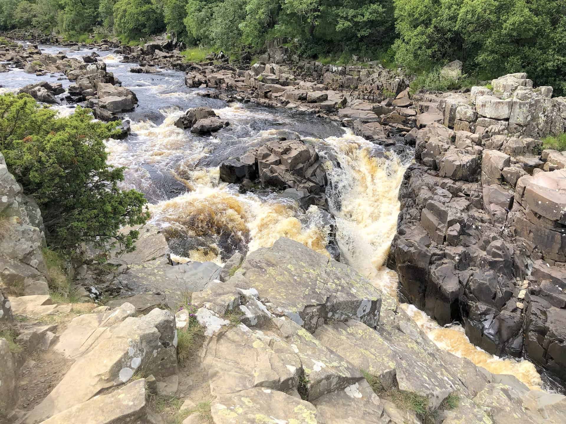 High Force, a spectacular waterfall on the River Tees, stands as one of the most impressive natural features in the area, about five miles north-west of Middleton-in-Teesdale. At High Force you are roughly three-quarters of the way round this High Force waterfall walk.