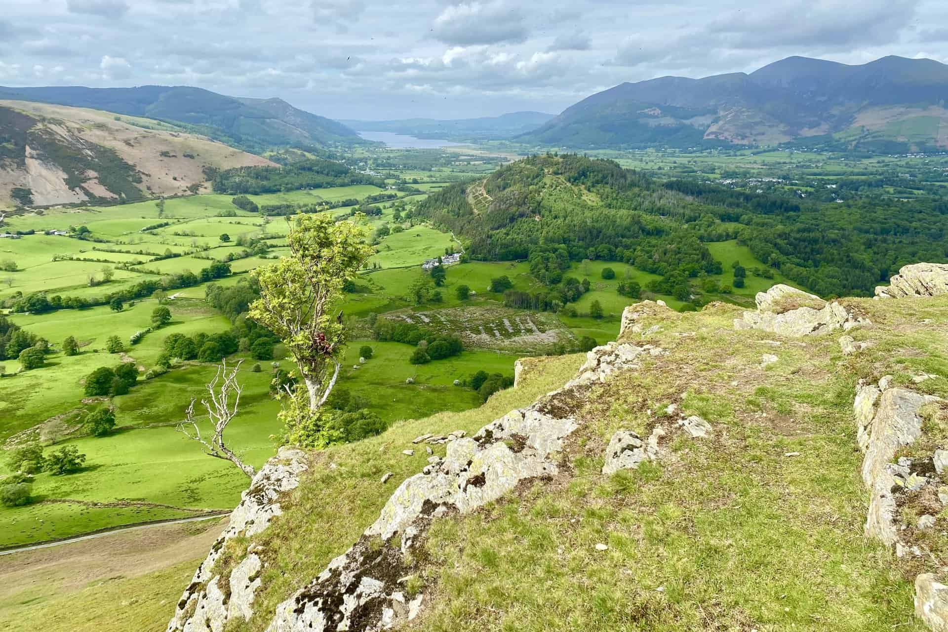Looking north from Skelgill Bank towards Swinside (the tree-covered hill) and Bassenthwaite Lake.