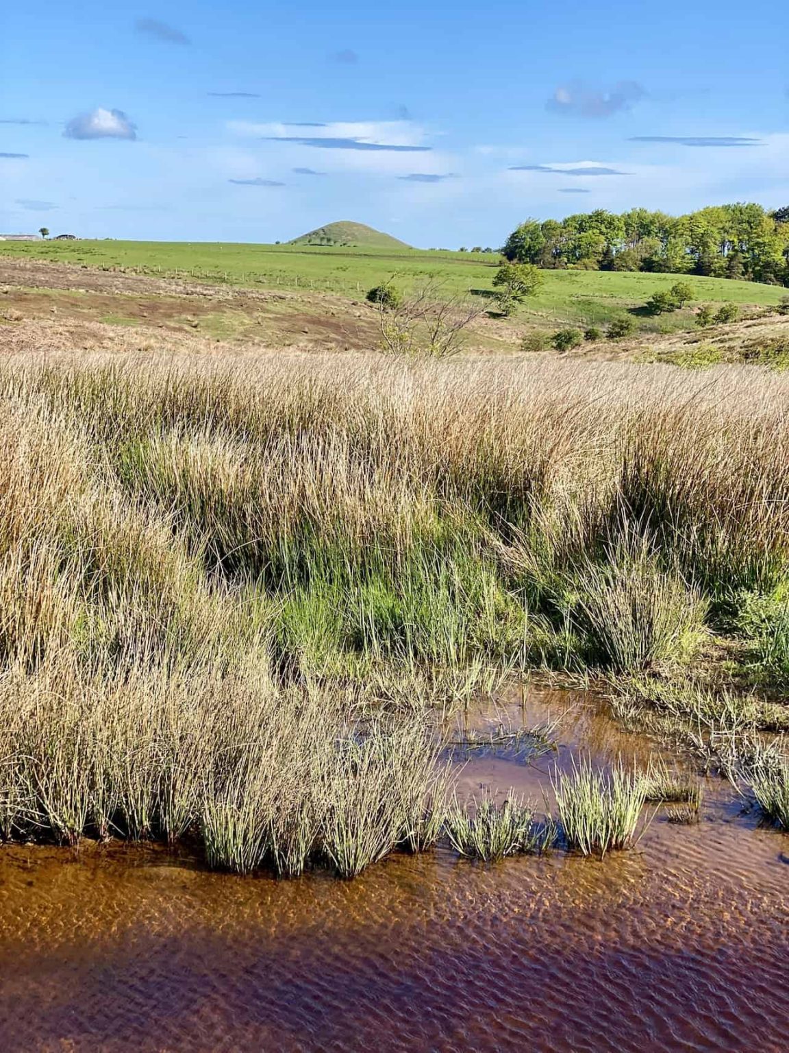 Castleton Walk: Trekking Ancient Pathways in the North York Moors