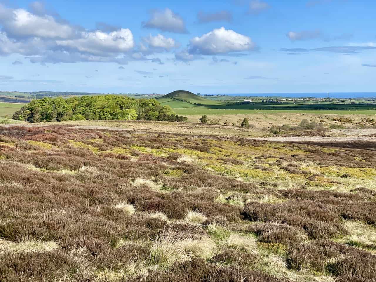 Tomgate Moor and Freebrough Hill, with the North Sea just visible on the horizon.
