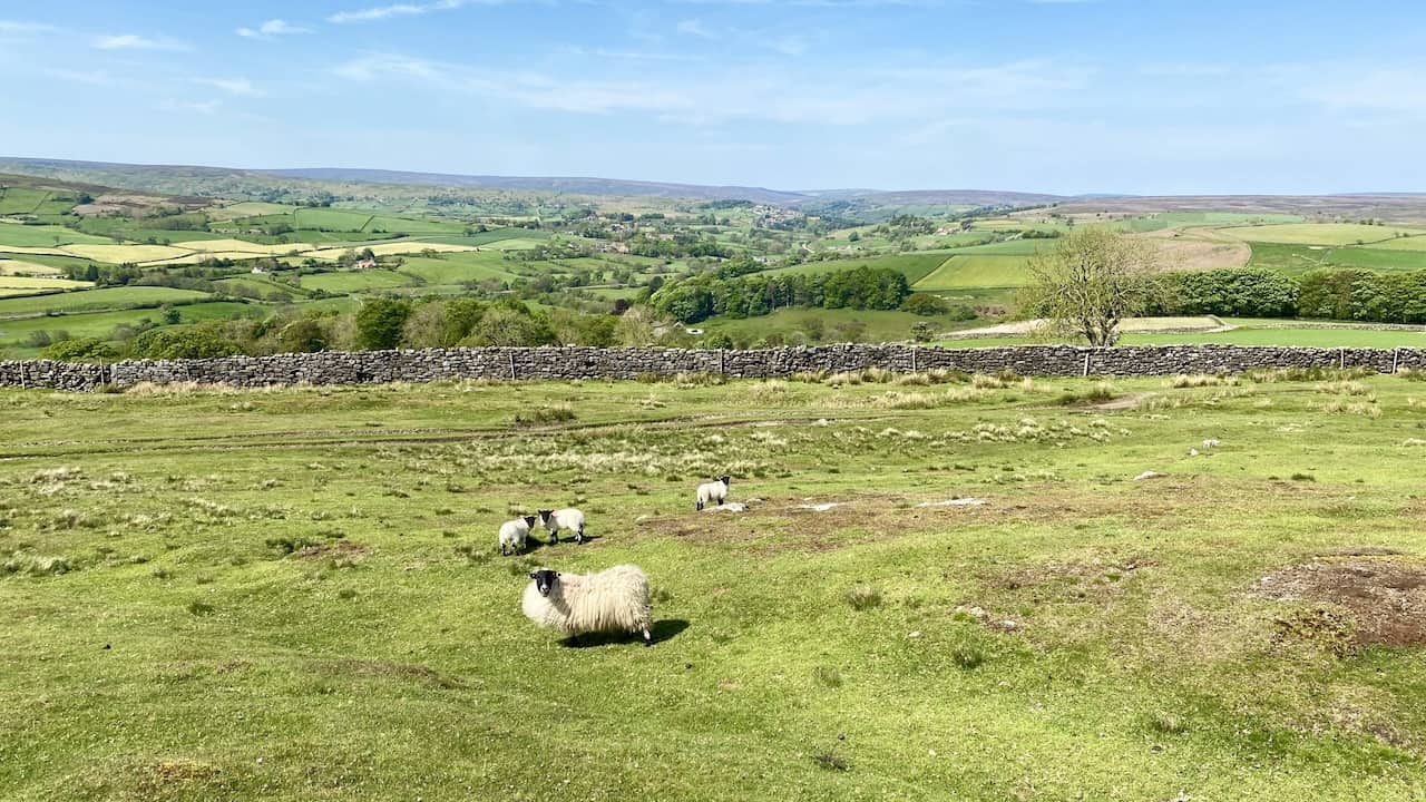 The view west from Oakley Side towards Danby and Castleton.