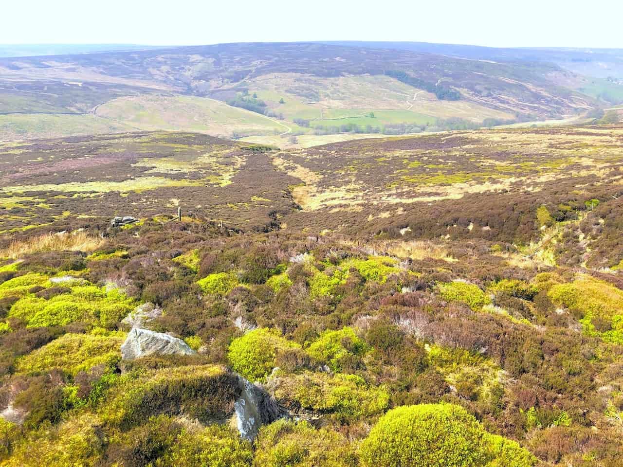 Westerdale Moor, where three streams called the Esklets merge to form the River Esk in the valley below.
