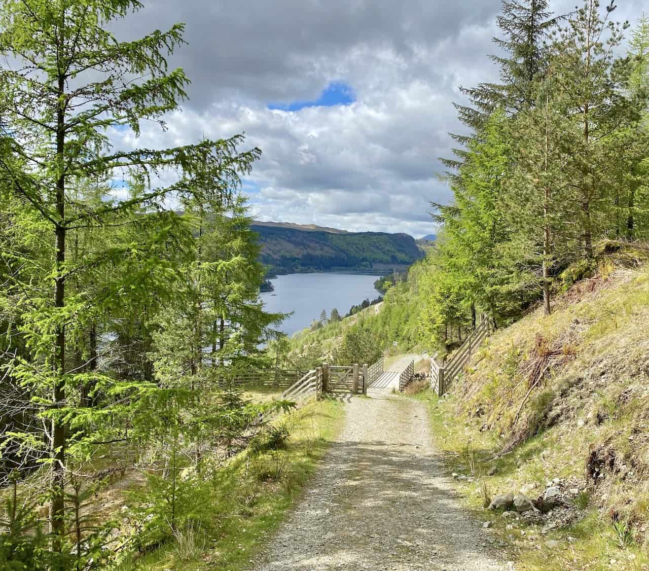 Woodland track below Helvellyn on the east side of Thirlmere.