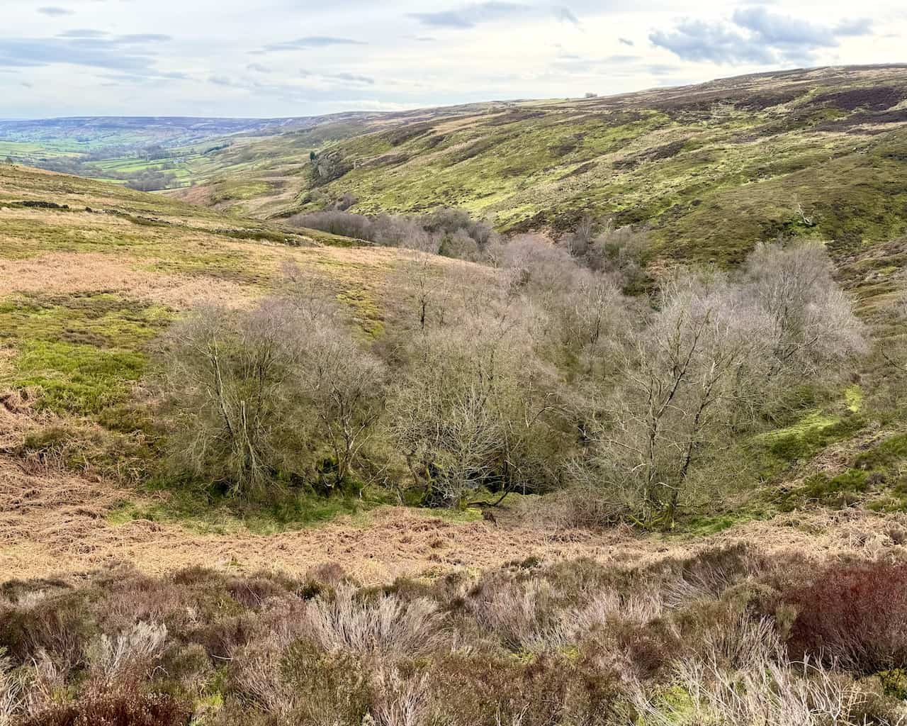 The Rosedale valley panorama from the railway's northernmost point, a breathtaking moment along the walk.
