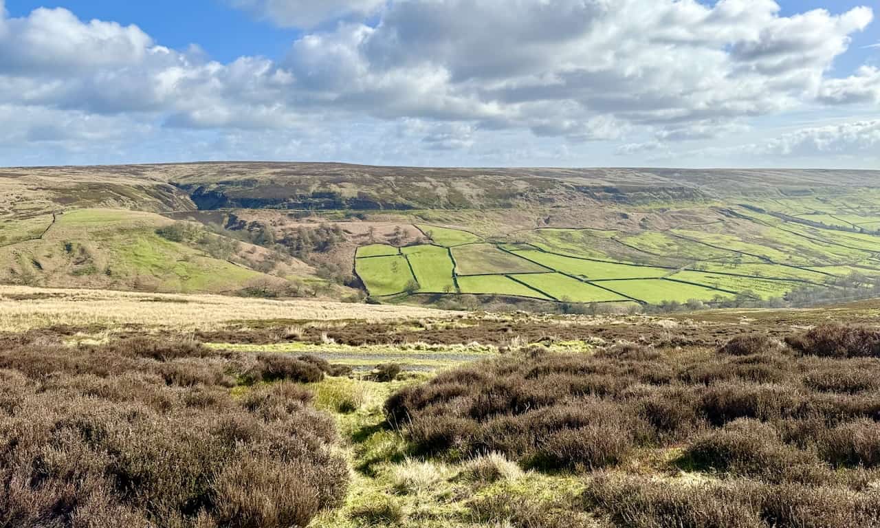The view east across the valley highlights where the course of the old railway line can be clearly seen. Below the railway line lies a patchwork of green farmers' fields, and above, the heather-covered moorland dominates.