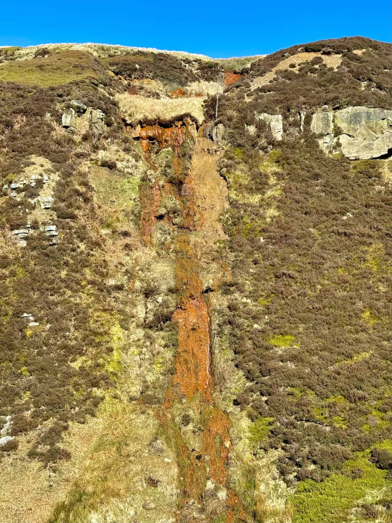 As for the soil, the presence of iron oxides influences not only its colour but also its composition and health. In the North York Moors, high concentrations of iron oxides in the soil can result in distinct orange colouration. While iron is essential for plant growth, excessive amounts can be detrimental, affecting soil pH and nutrient availability. The region's long history of industrial activity, particularly ironstone mining which peaked in the 19th and early 20th centuries, has significantly impacted the landscape, altering water and soil chemistry through the exposure of ironstone and other minerals.