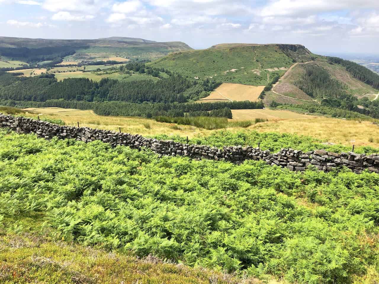 Viewing west, the arrangement of Hasty Bank, Cold Moor, and Cringle Moor unfolds in a stunning display of natural beauty.