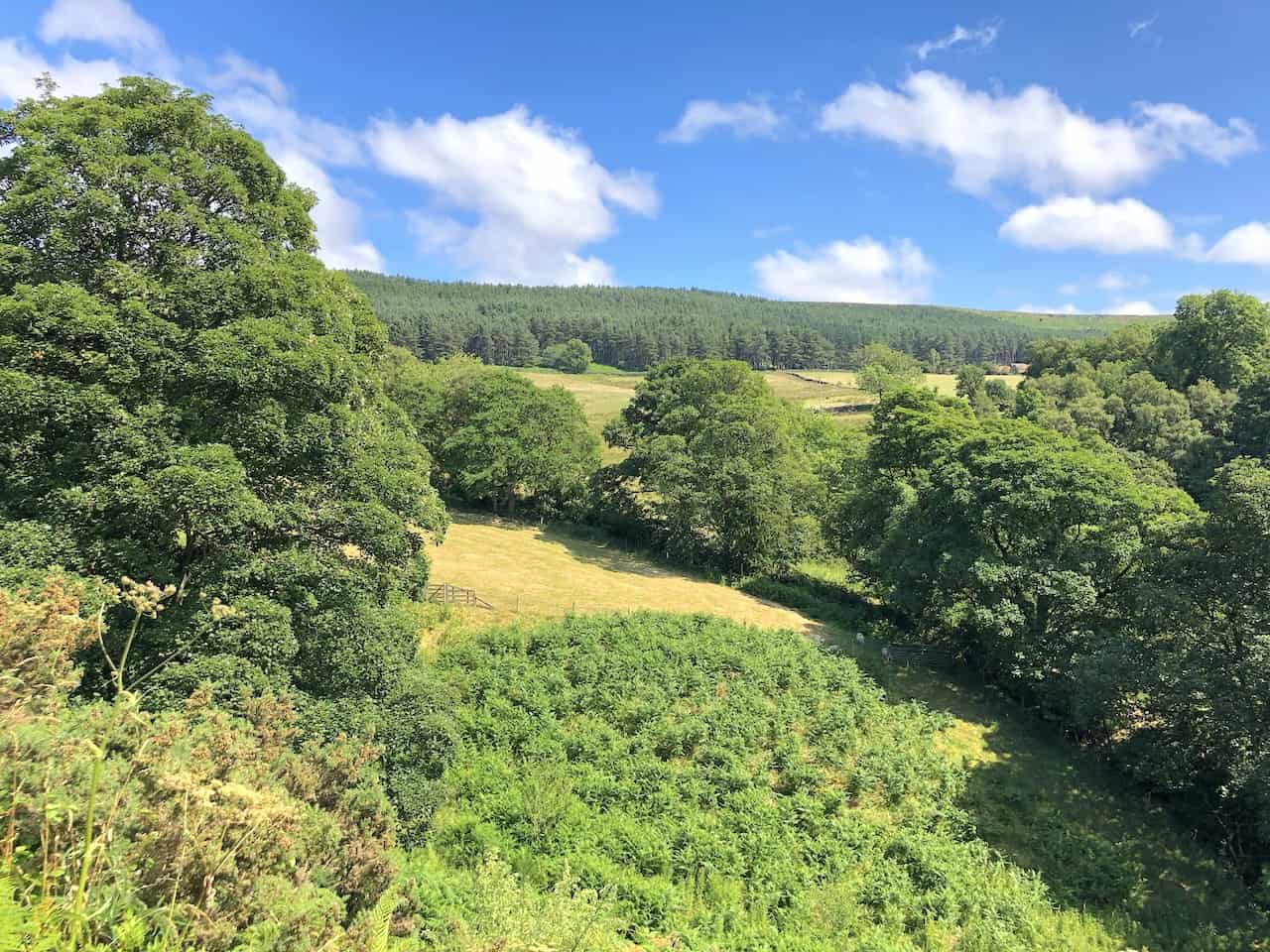 Near Bilsdale Hall, Seave Green, the scenery is simply stunning, making it a perfect spot to pause and appreciate the serene beauty of the area during your Wainstones walk.