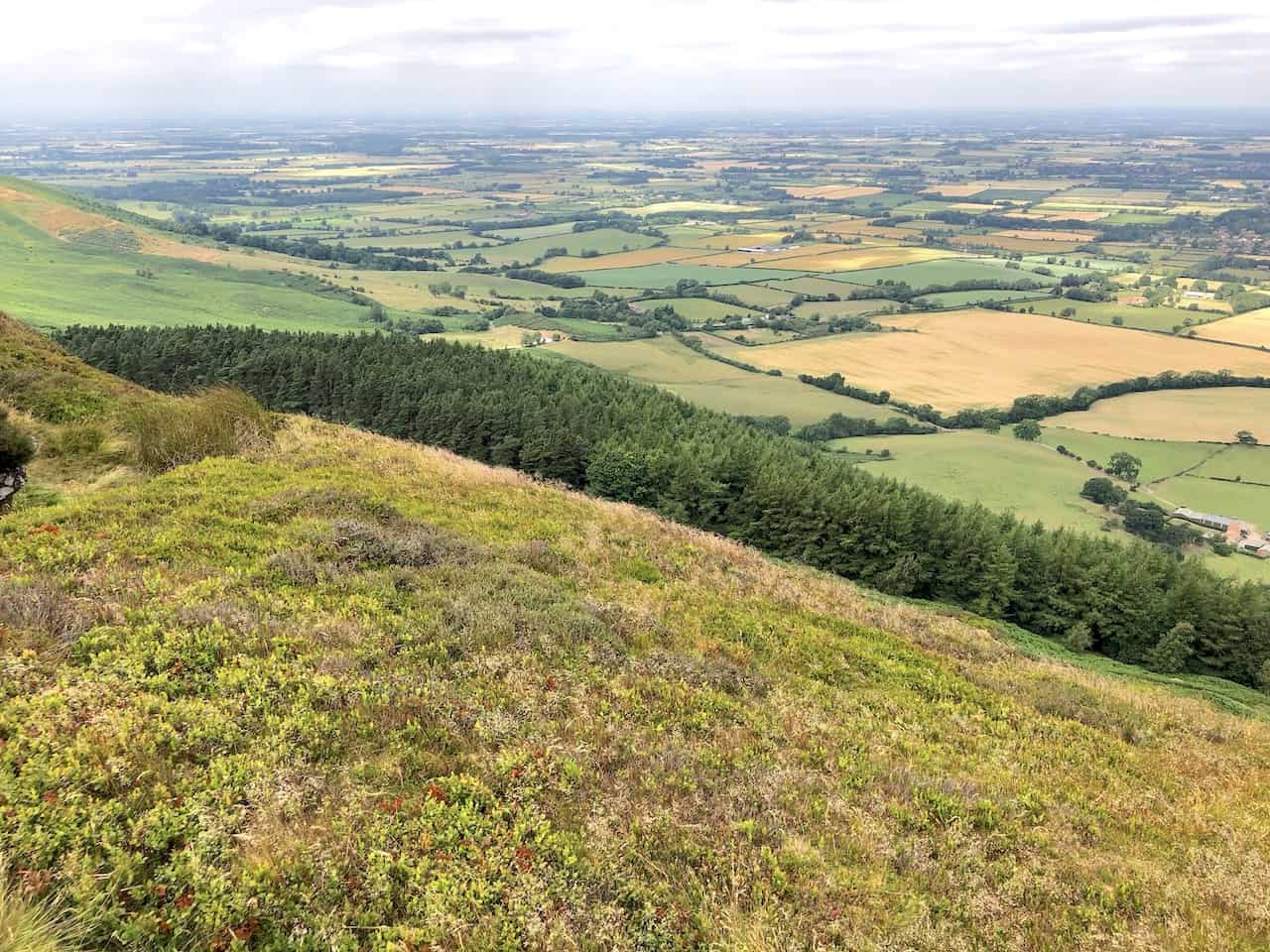 The north-western vista from Cold Moor unfolds over the Tees Valley lowlands, offering expansive views of this amazing area.