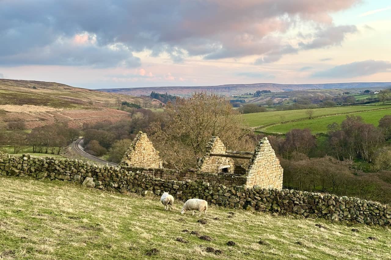 Sunday 3 March 2024: A tranquil walk between Commondale and Castleton in the North York Moors. One of my most cherished circular walks in Yorkshire.