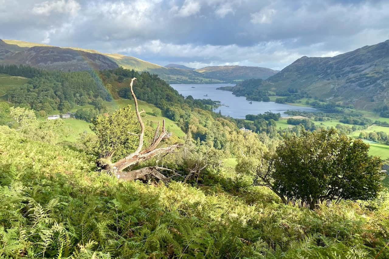 Magnificent views of Ullswater observed during the ascent of Thornbow End, not long after the start of the Deepdale Horseshoe walk.
