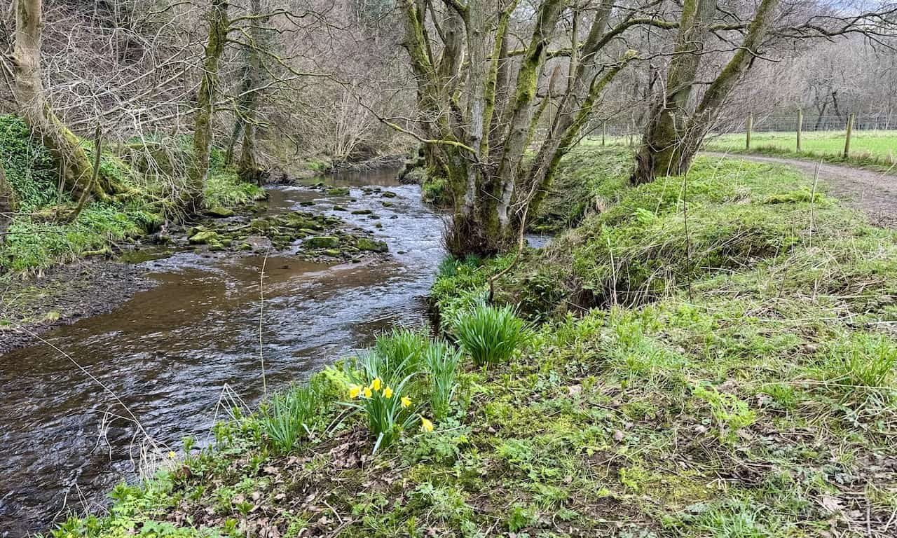 The charming River Dove, winding through the Farndale valley near Low Mill, flows southward to converge with the River Rye, eventually joining the River Derwent.