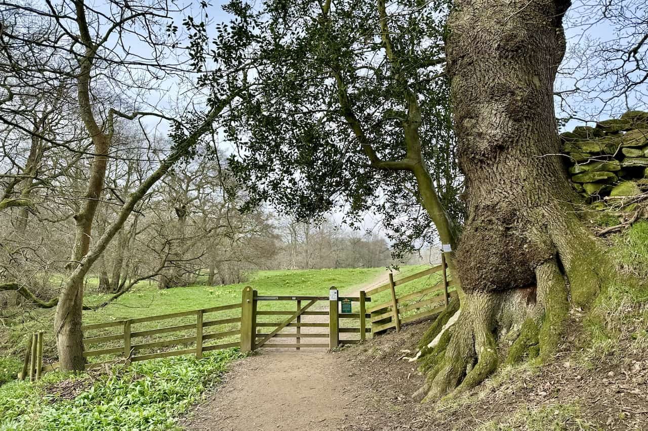 The pathway alongside the River Dove, connecting Low Mill and Church Houses, is predominantly flat and accessible, accommodating pushchairs and wheelchairs. Although several gates along the path require opening and closing, they present minor obstacles, making for an easy and inclusive journey.