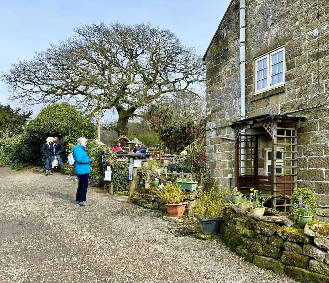 The Daffy Caffy at High Mill provides a charming pit stop for refreshments amidst the beauty of the Farndale daffodils.