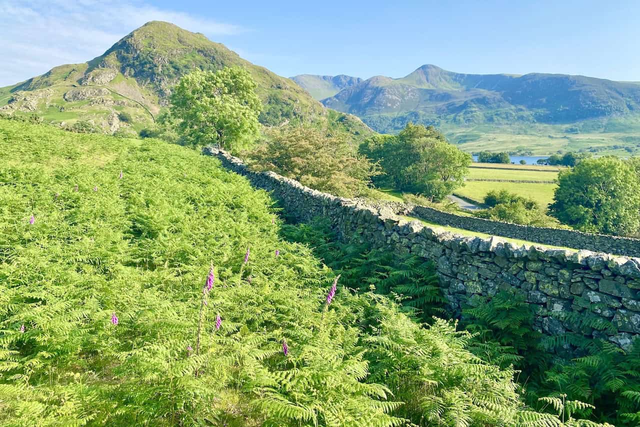 Looking back towards Rannerdale Knotts from the path back to our car park. Our Grasmoor walk has been one we will never forget.