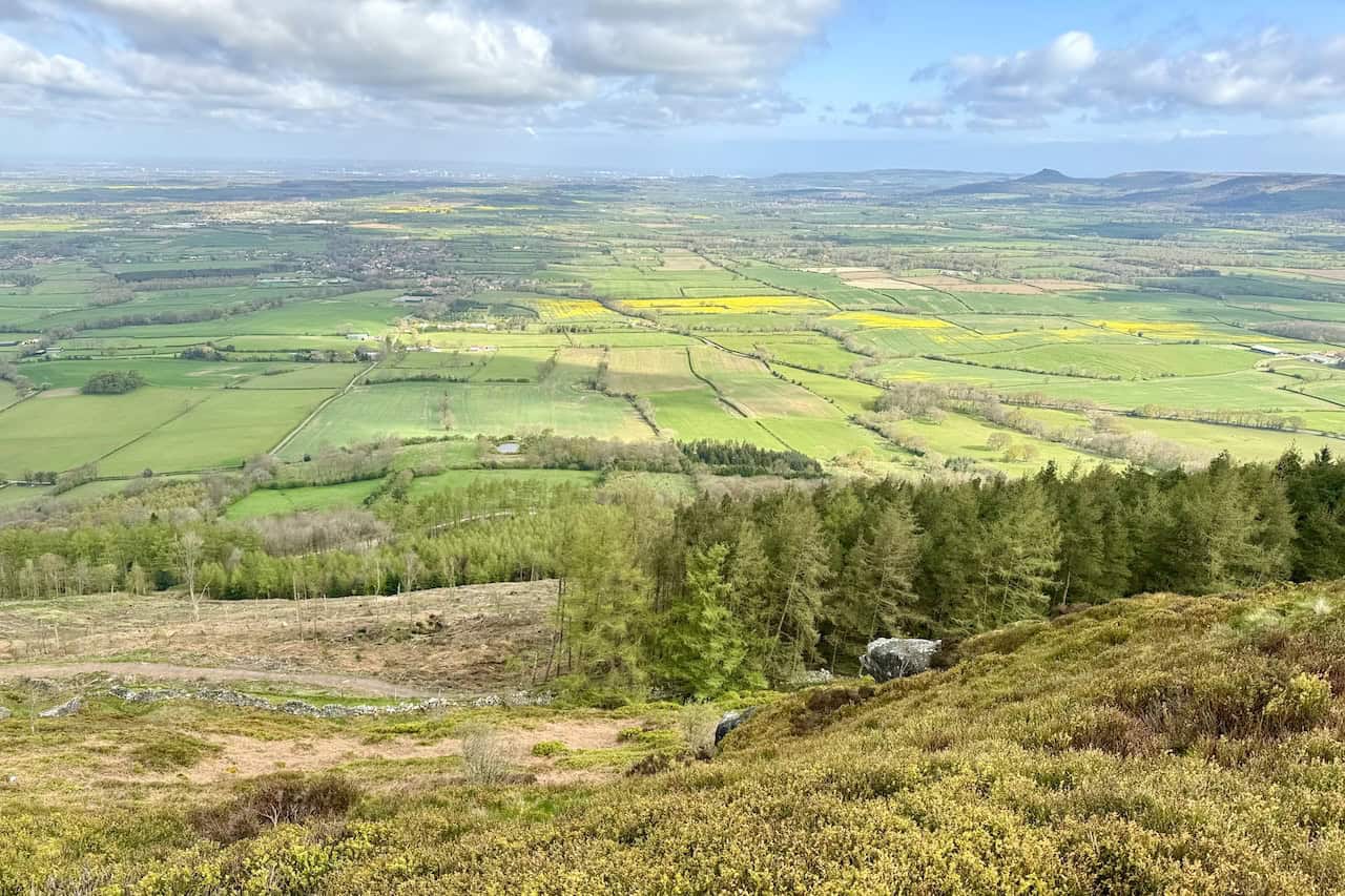 The views to the north are breathtaking as we progress west across the top of Hasty Bank towards Wainstones. Hasty Bank features the southern-facing slopes of White Hill. Below, the trees form Broughton Plantation on the steep slopes of Broughton Bank, which faces north. The built-up areas of Great Broughton and Stokesley, along with Teesside regions like Stockton-on-Tees, Middlesbrough, and Hartlepool, are visible in the distance.