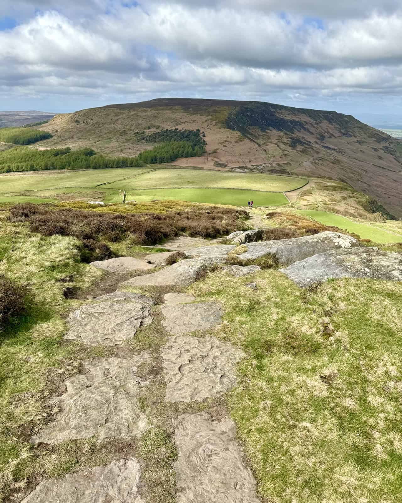 From the summit of Cold Moor, the track descends westward, and our next ascent, the climb to the top of Cringle Moor, comes into view. A path around the northern side offers a gradient-free alternative to the summit, leading to the same location at Lordstones.